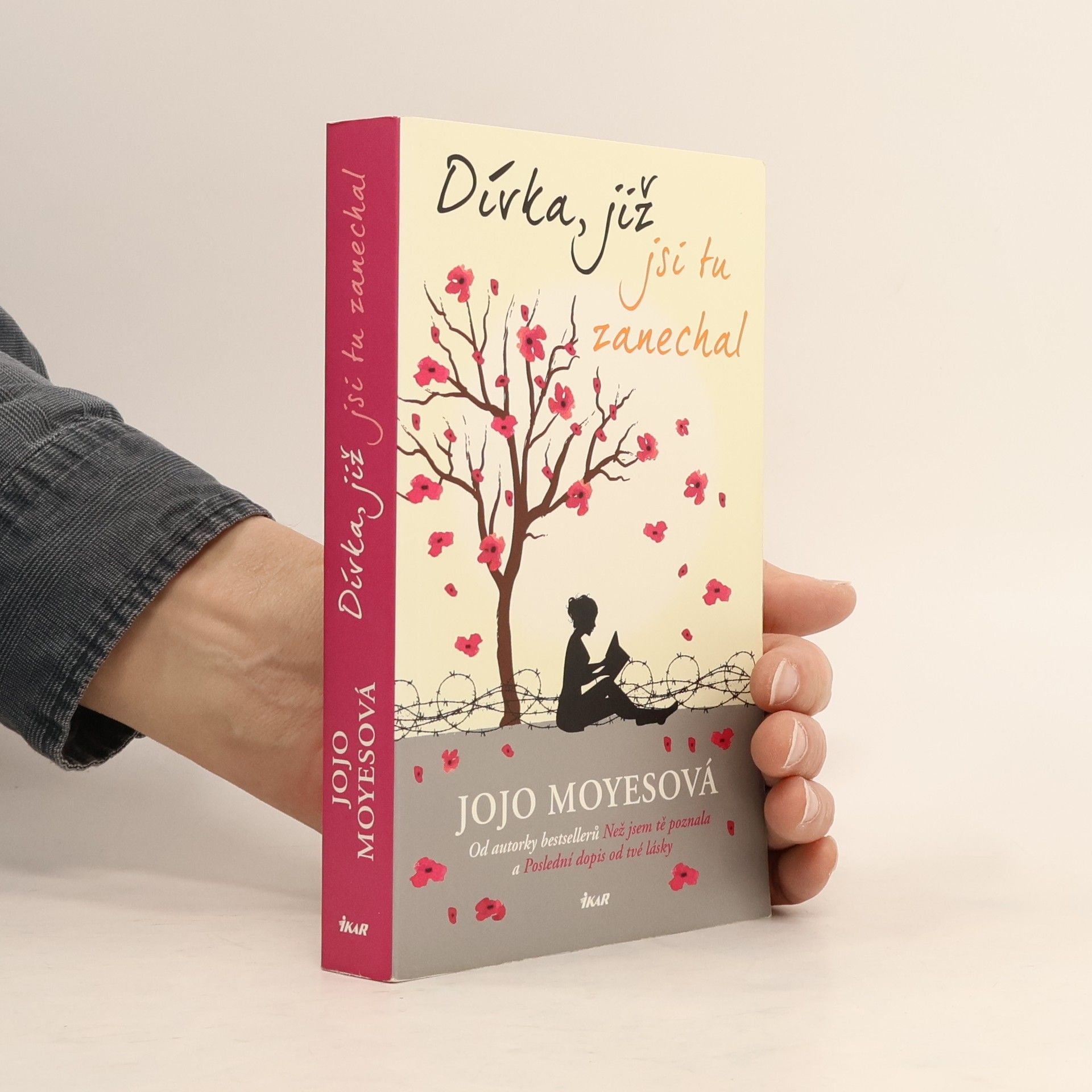 Jojo Moyes Dívka, již jsi tu zanechal