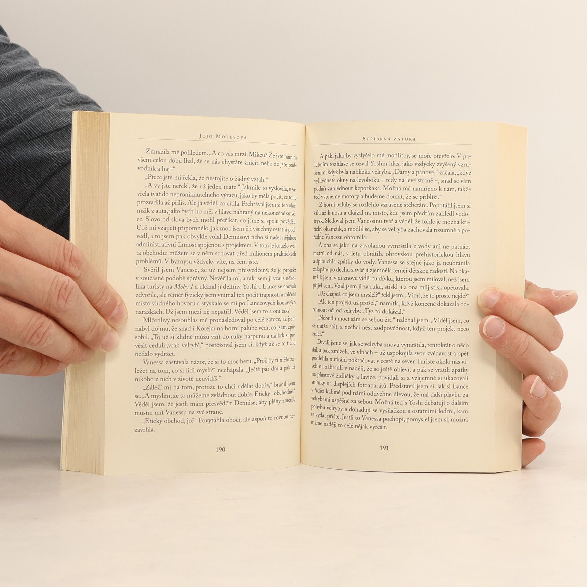 Jojo Moyes Stříbrná zátoka