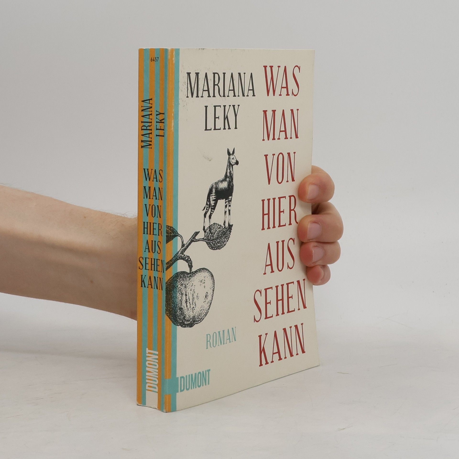 Mariana Leky Was man von hier aus sehen kann