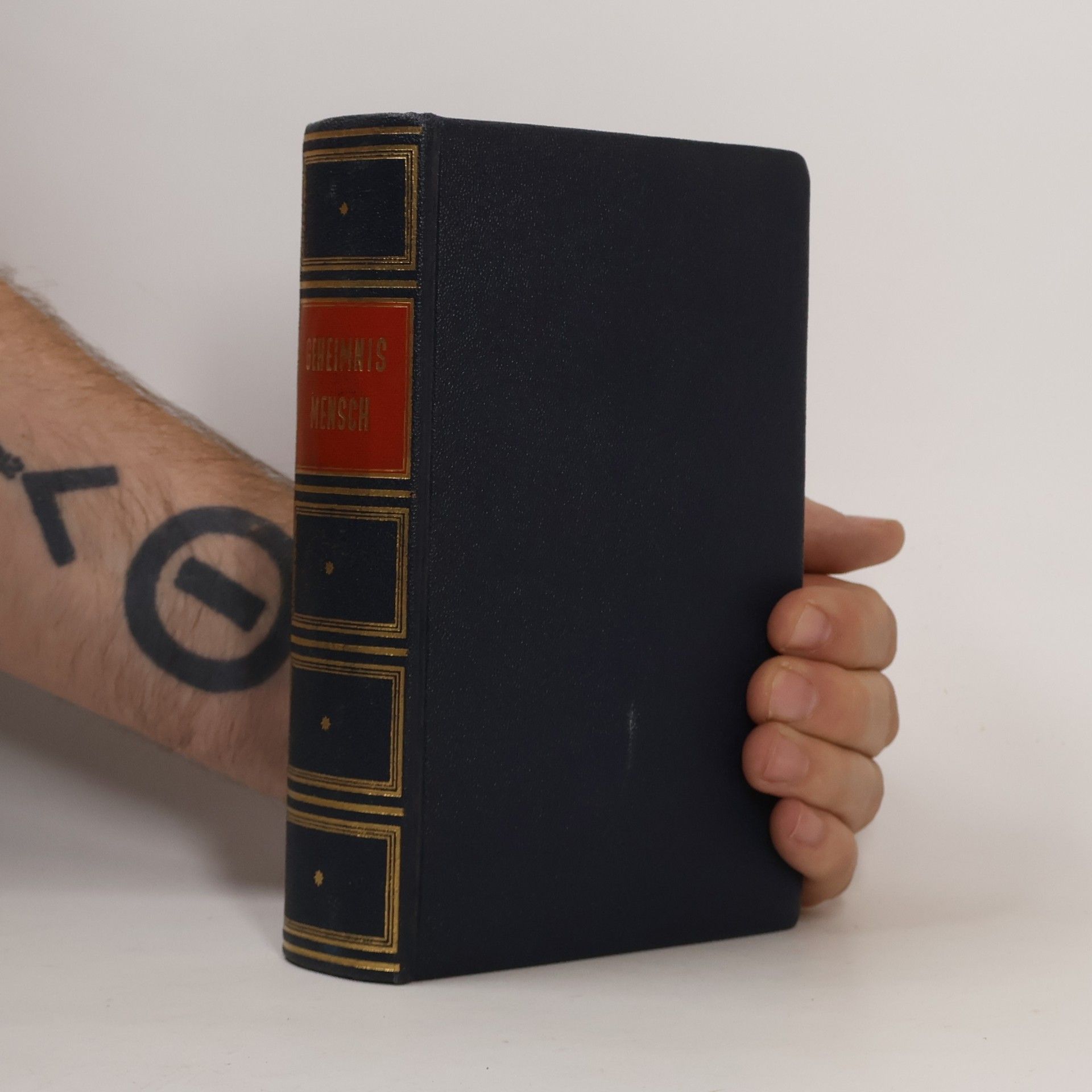 Collectif d'auteurs Geheimnis Mensch