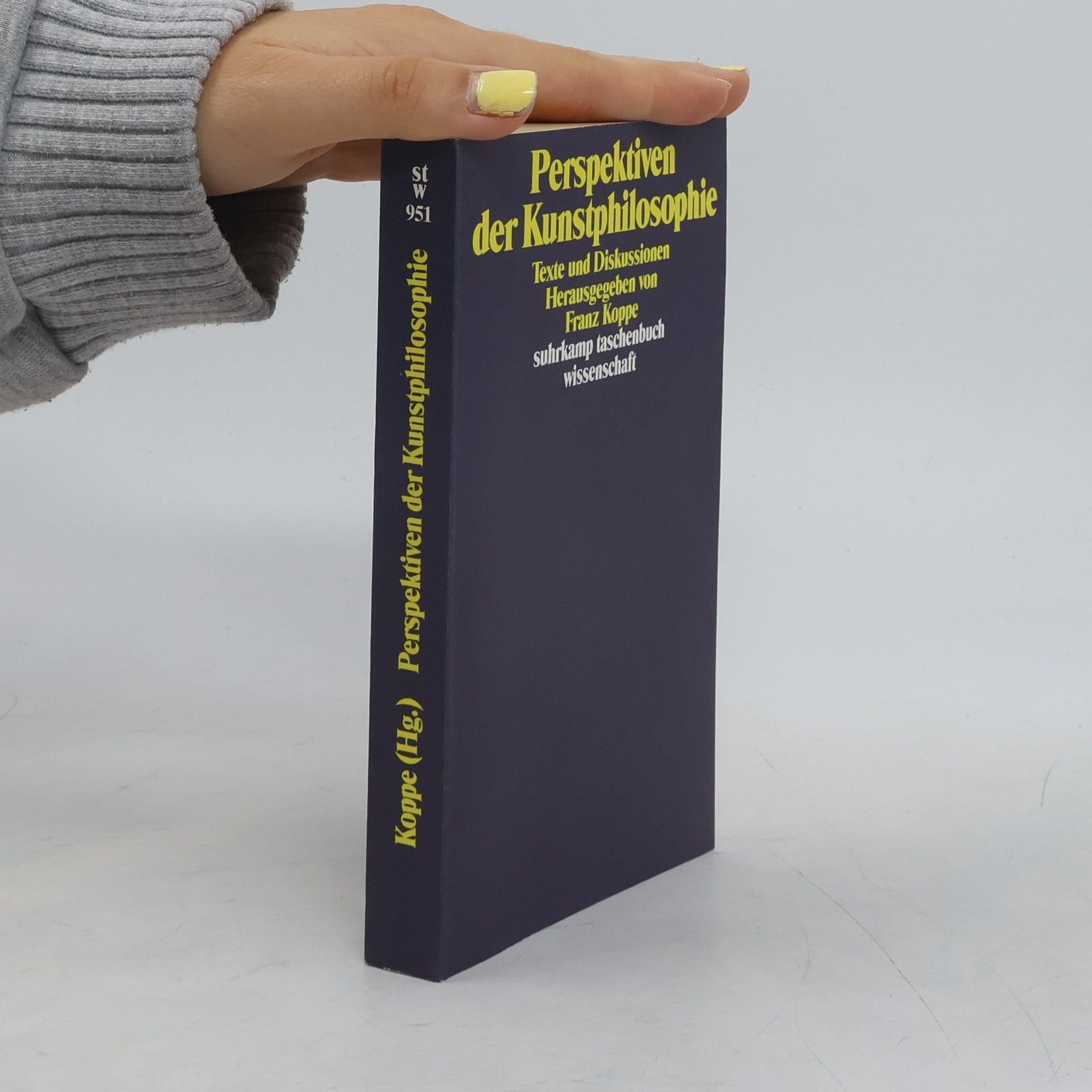 Franz Koppe Perspektiven der Kunstphilosophie