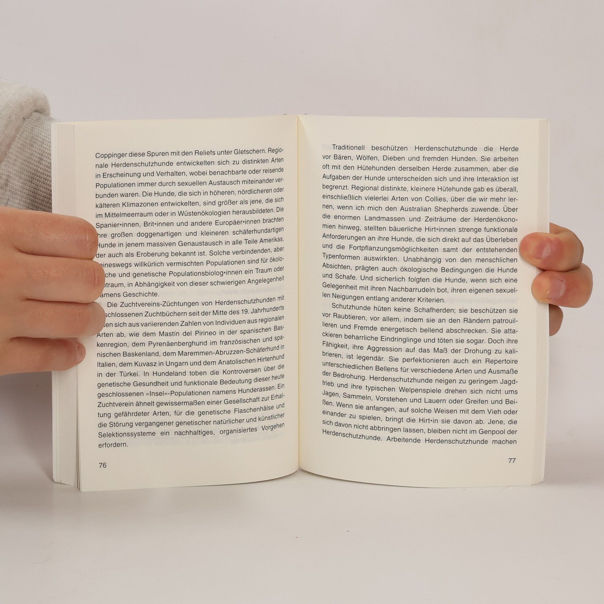 Donna J. Haraway Das Manifest für Gefährten
