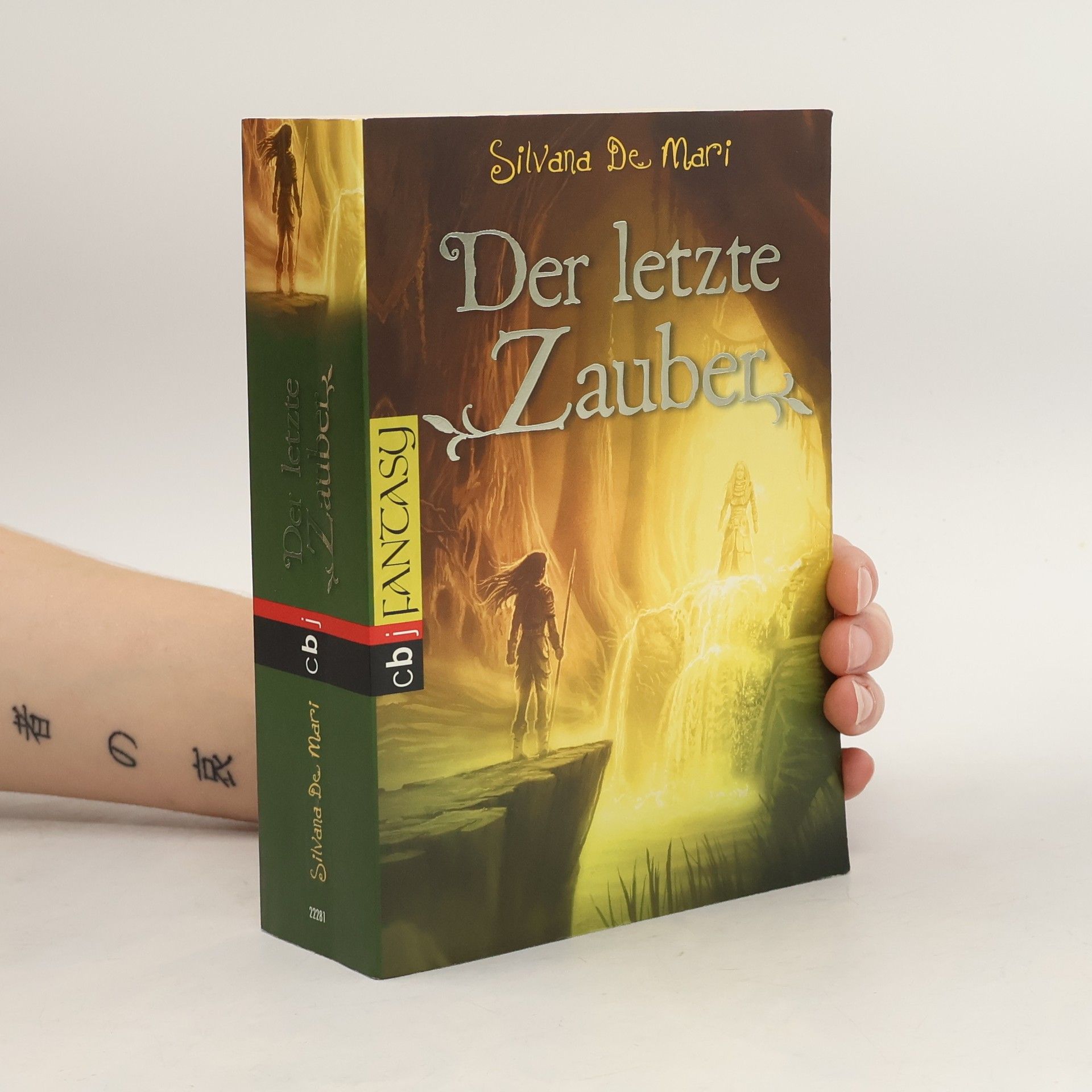 Silvana De Mari Der letzte Zauber