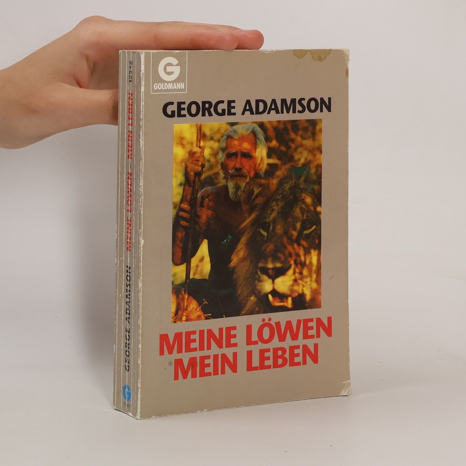 Meine Löwen, mein Leben