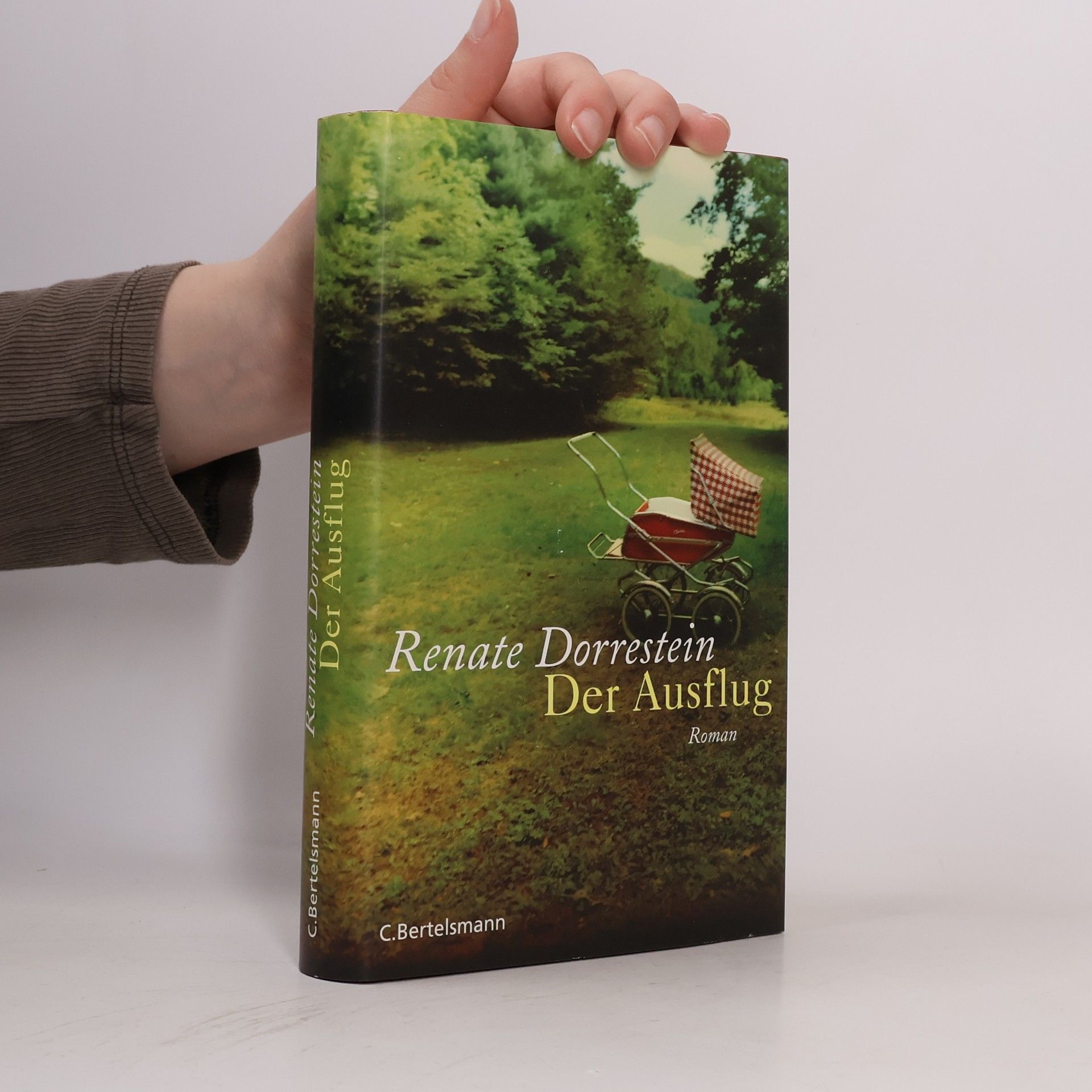 Renate Dorrestein Der Ausflug