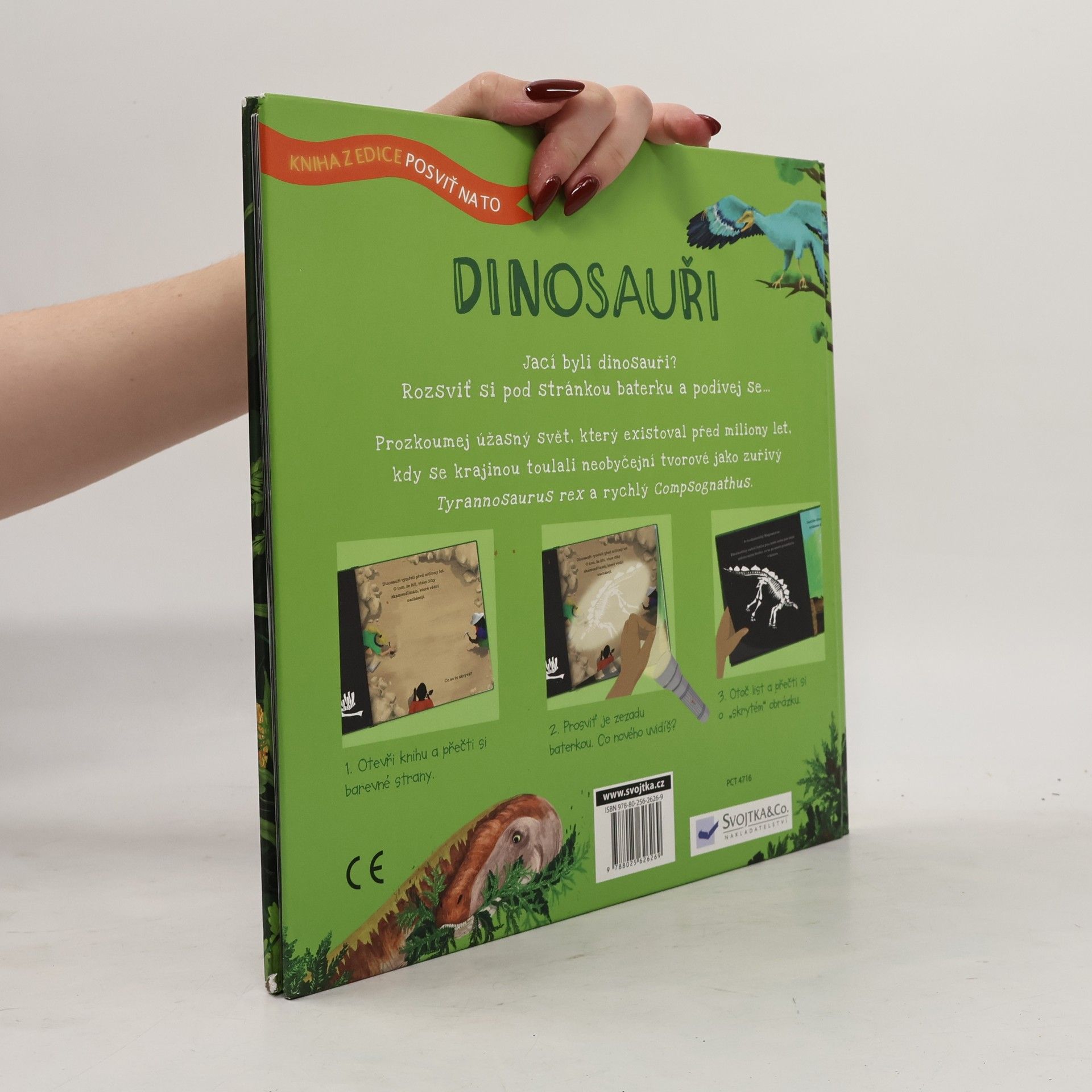 Sara Hurst Dinosauři