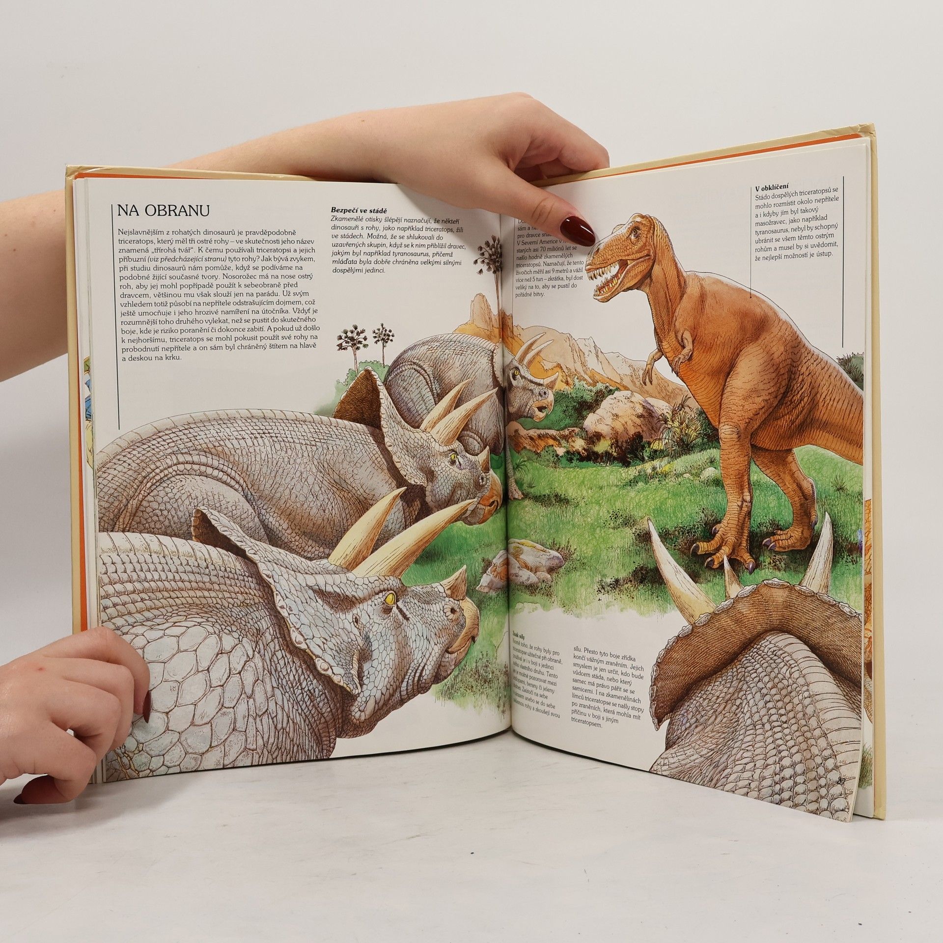 Steve Parker Jak žili dinosauři
