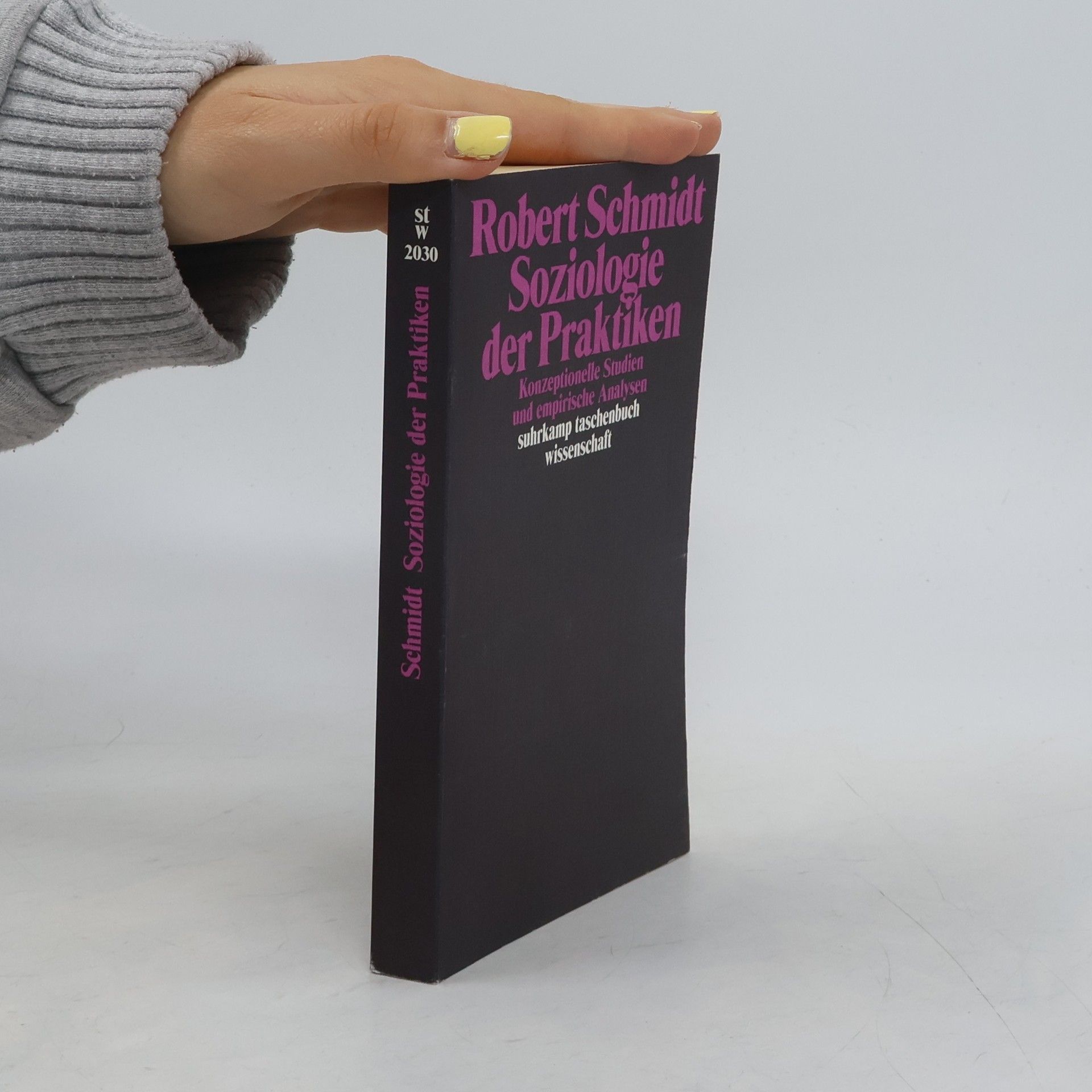 Robert Schmidt-Hebbel Soziologie der Praktiken