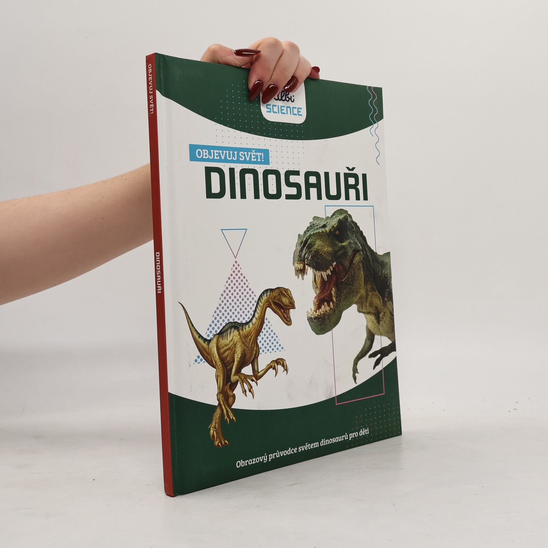 Autorenkollektiv Dinosauři