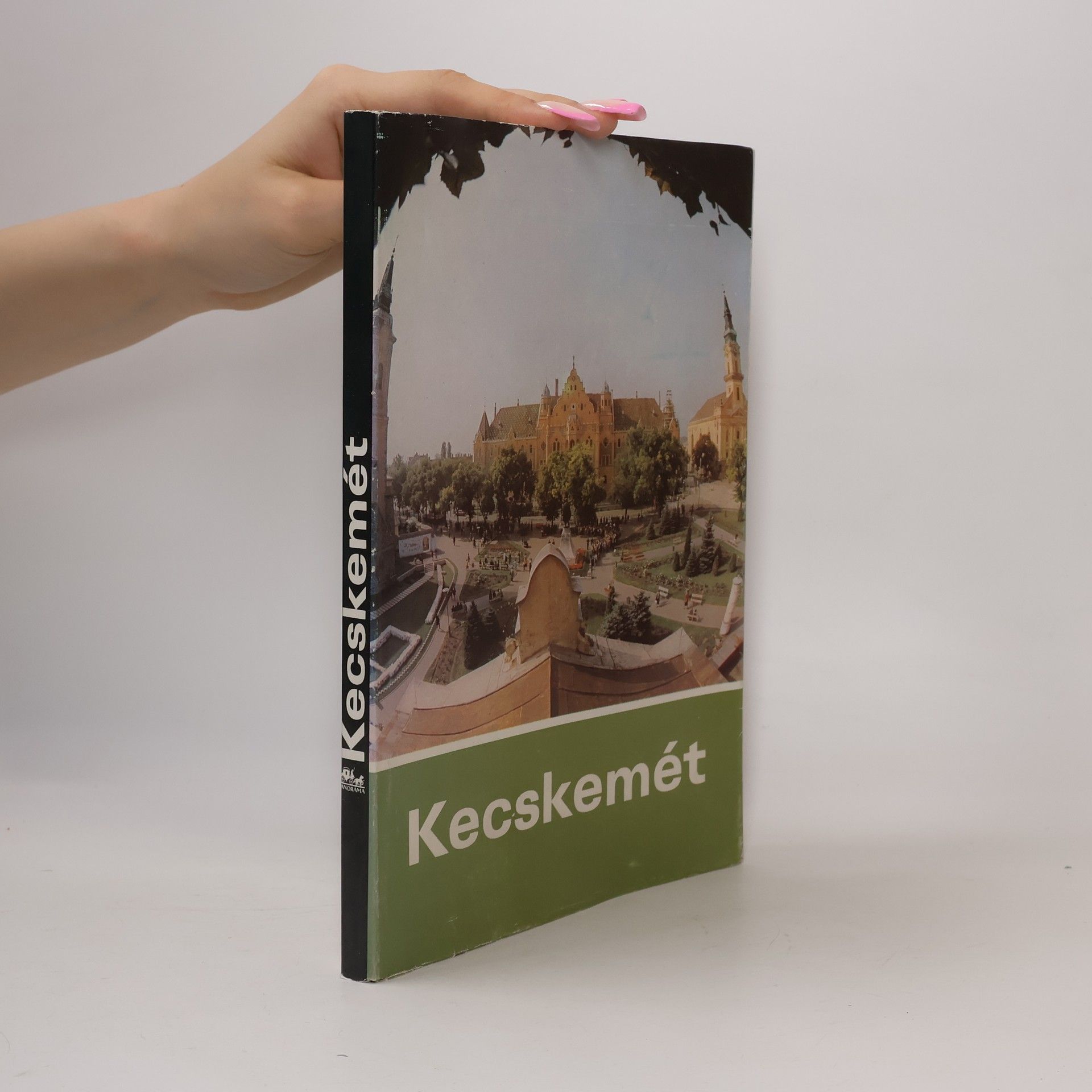 Autorenkollektiv Kecskemét