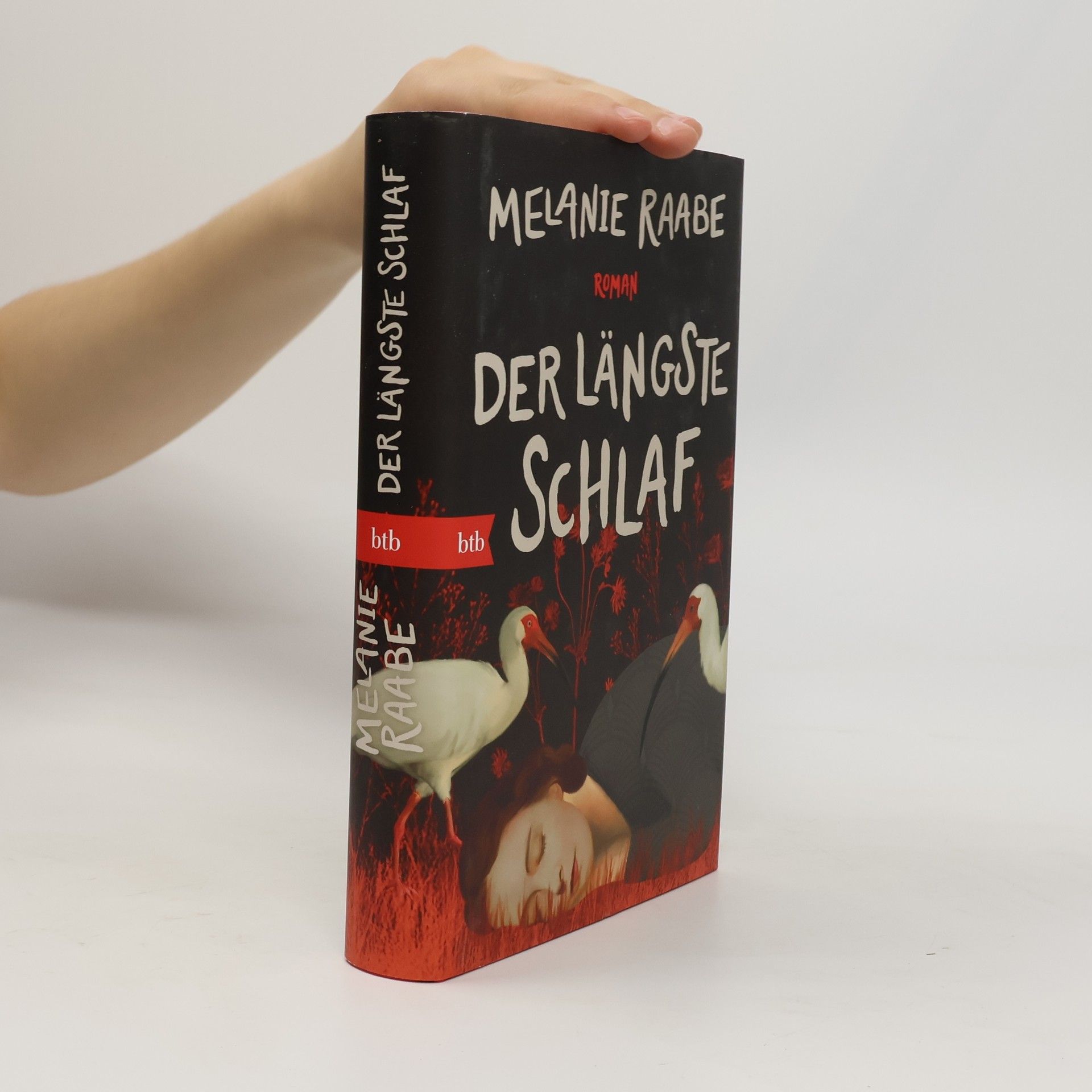 Melanie Raabe Der längste Schlaf. Roman