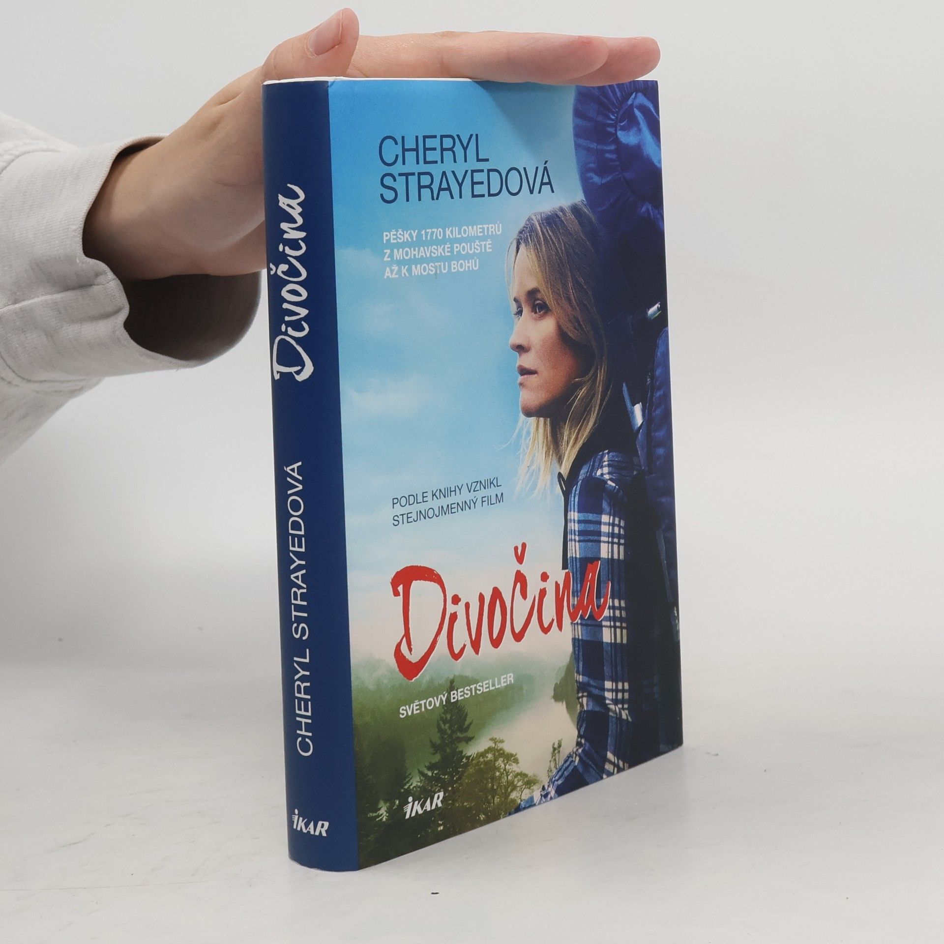 Cheryl Strayed Divočina. Pěšky 1770 kilometrů z Mohavské pouště až k mostu bohů