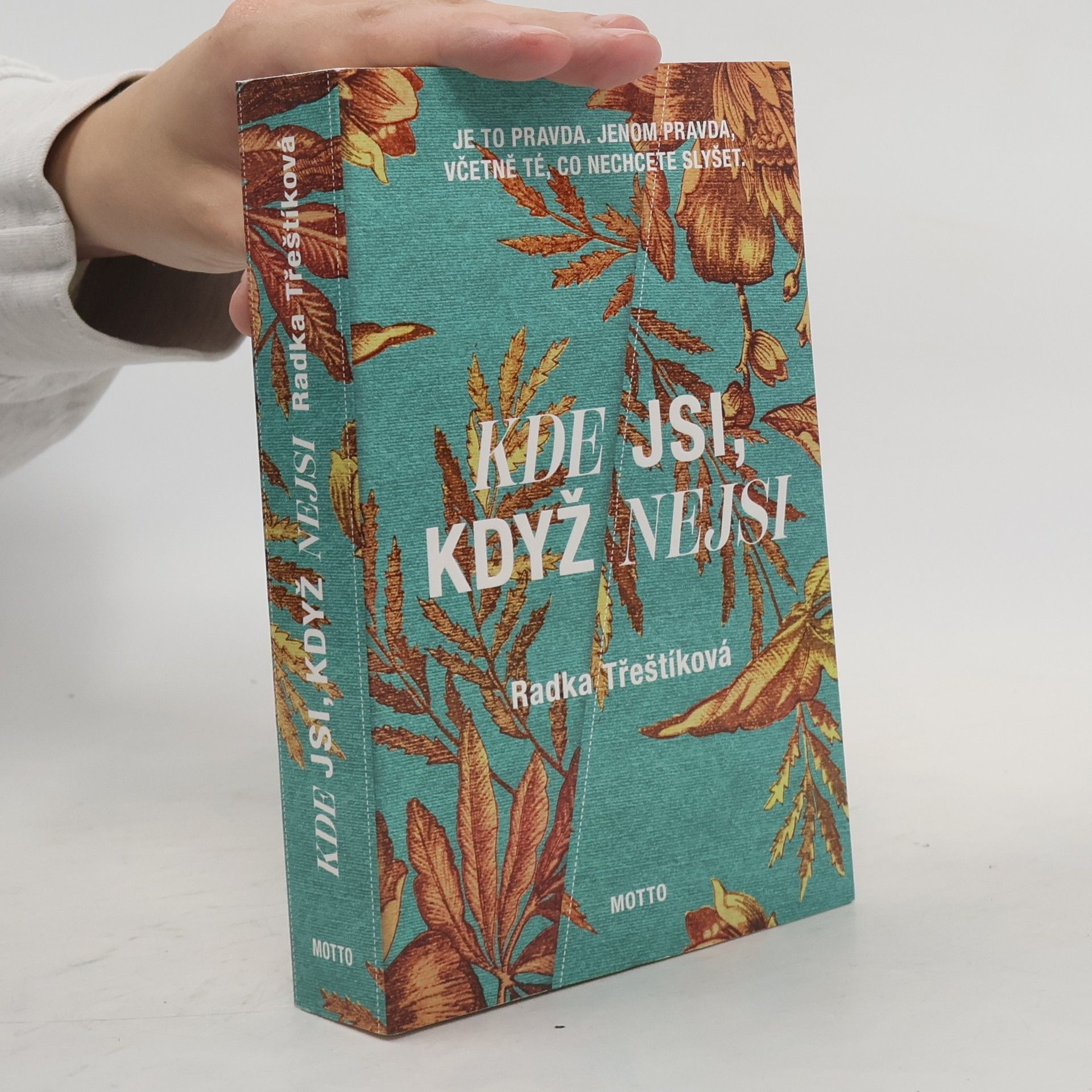 Radka Třeštíková Kde jsi, když nejsi