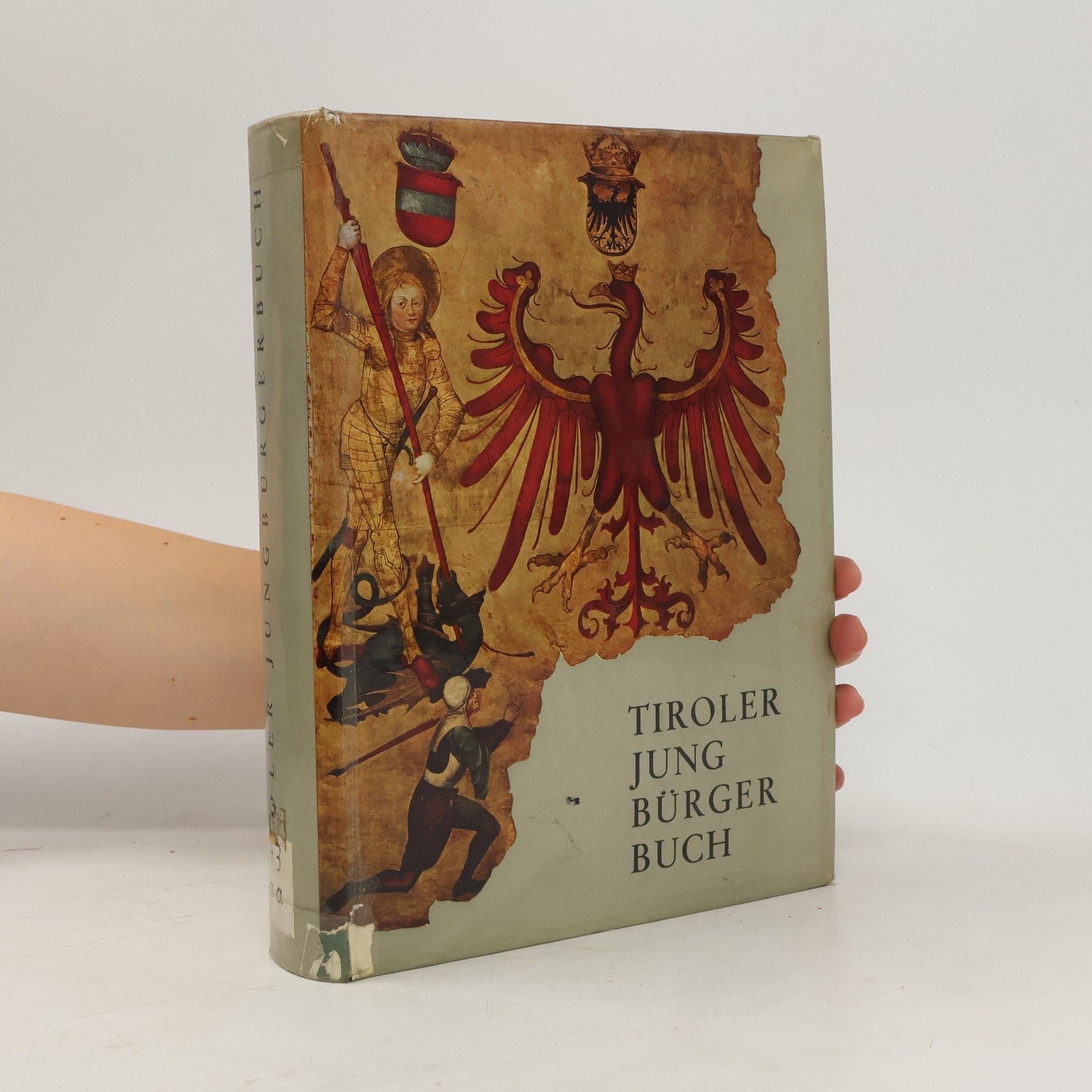Wolfgang Pfaundler Tiroler Jung Bürger Buch