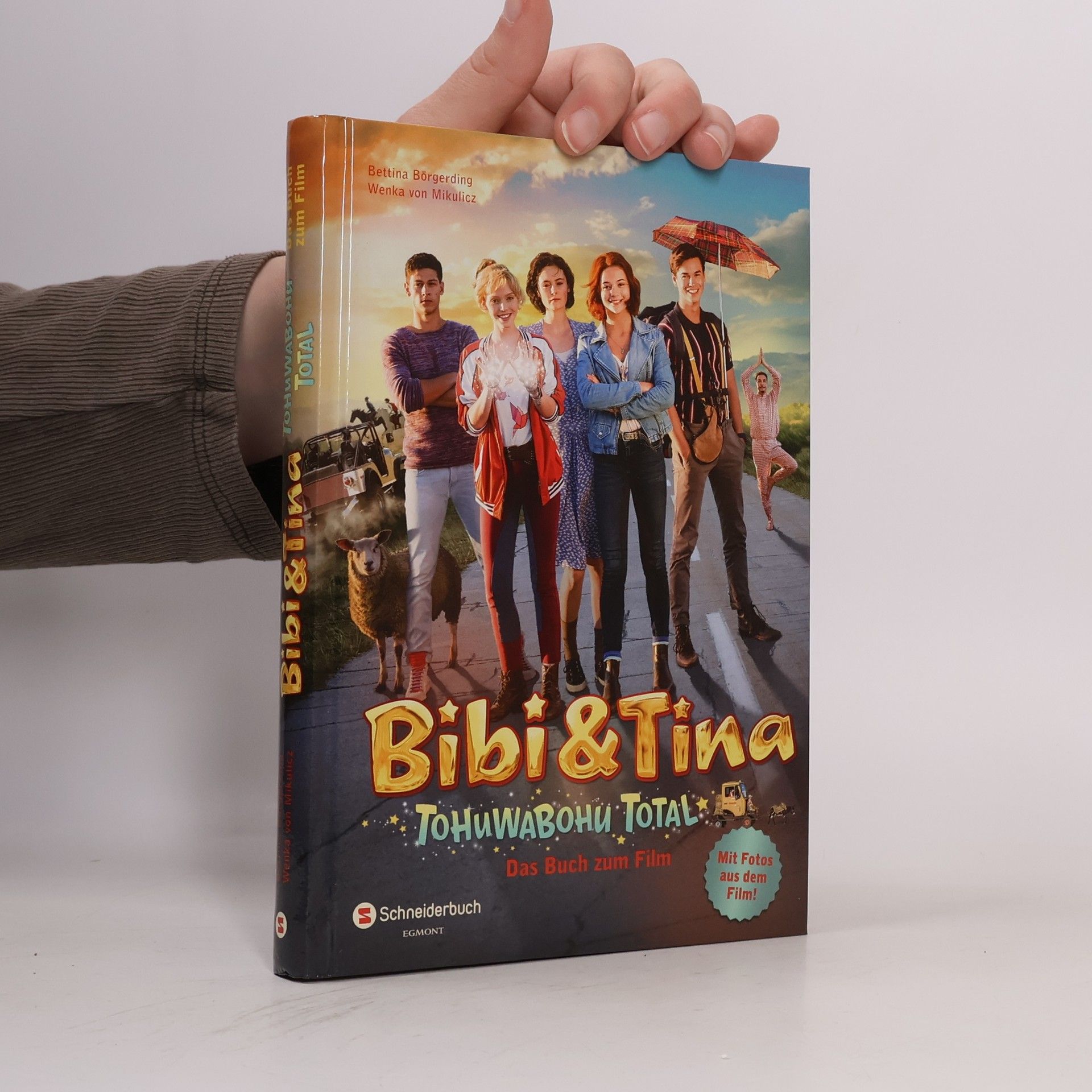 Bettina Börgerding Bibi & Tina Tohuwabohu Total Das buch zum film