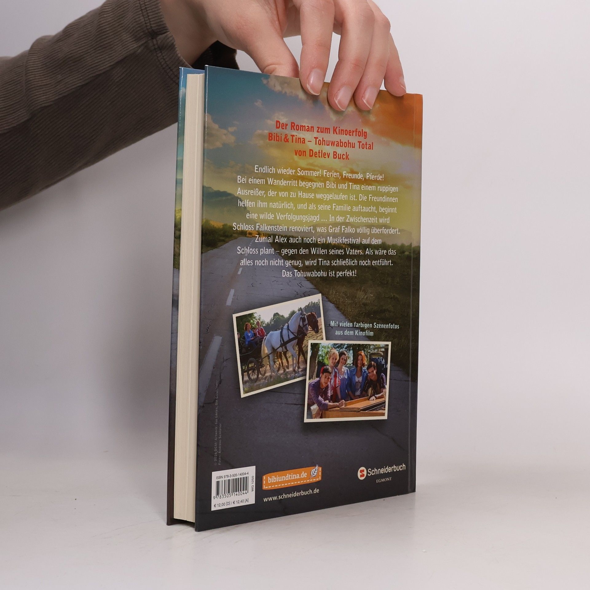 Bettina Börgerding Bibi & Tina Tohuwabohu Total Das buch zum film