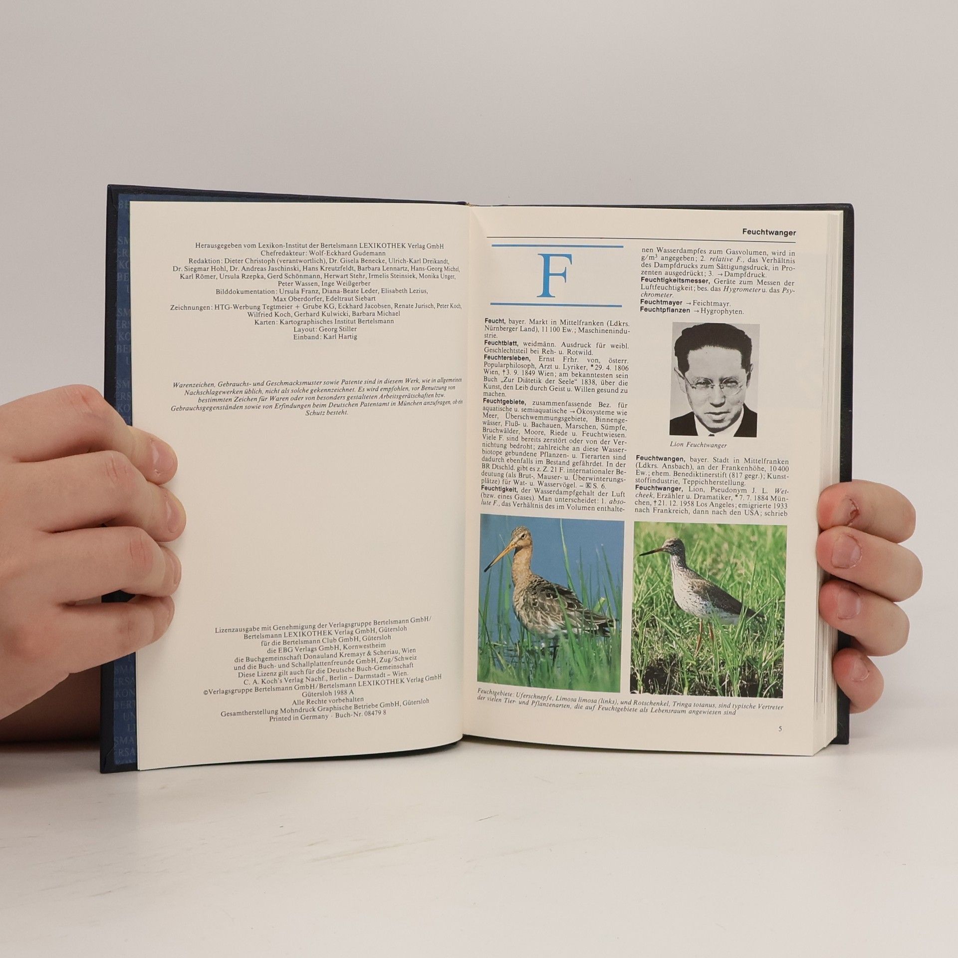 Autorenkollektiv Bertelsmann Universal Lexikon 6. Feu Gier