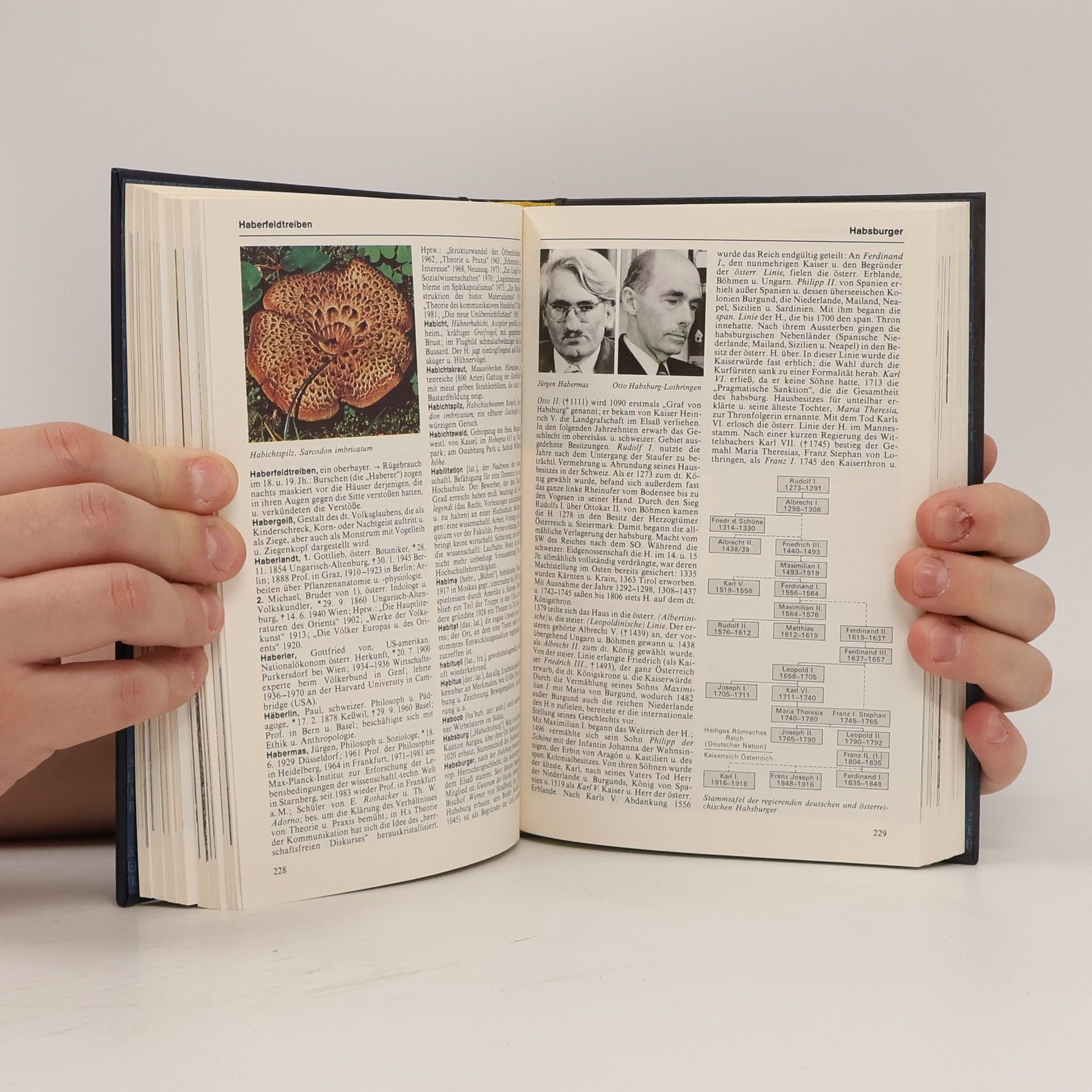 AA.VV. Bertelsmann Universal Lexikon 7. Gies Hell
