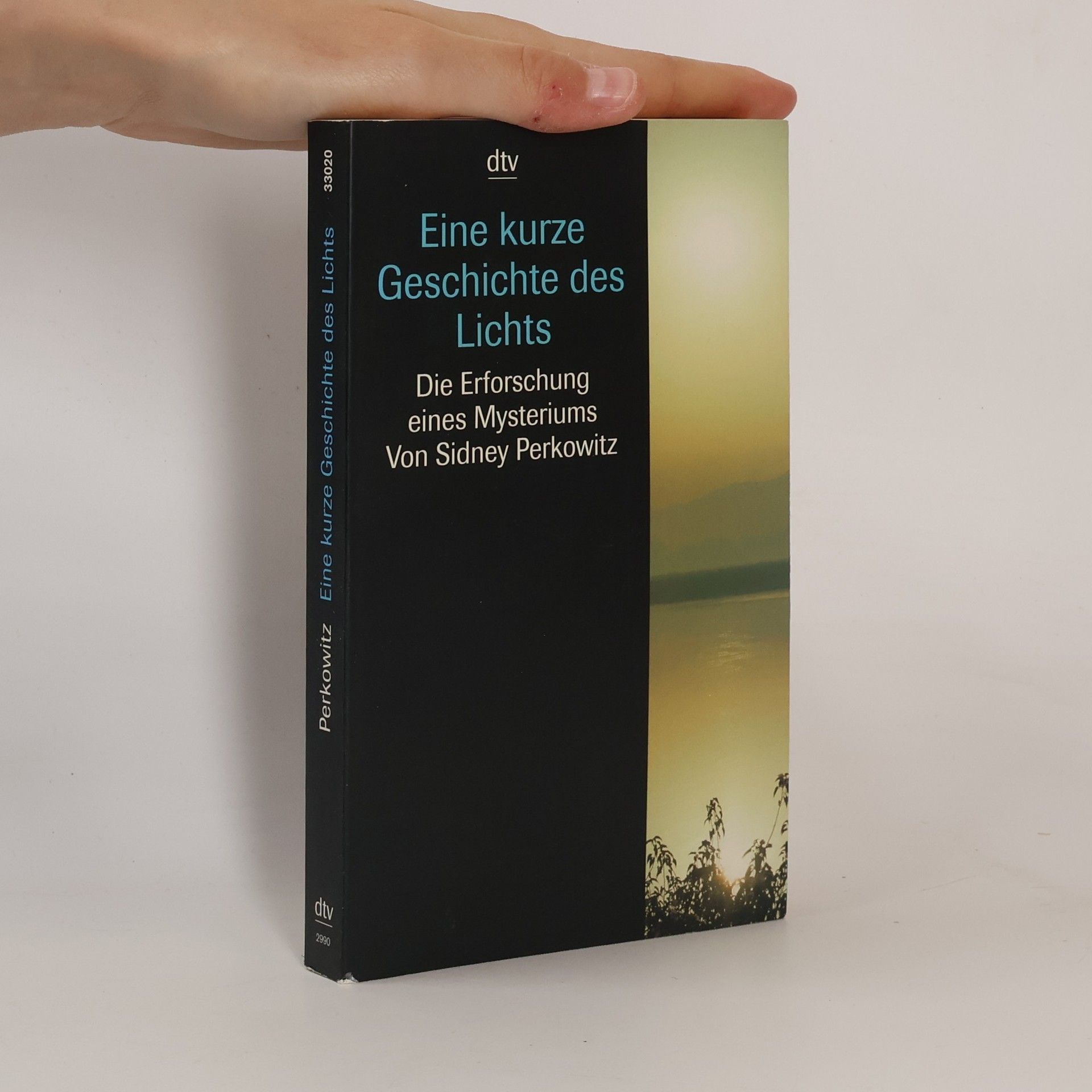 Sidney Perkowitz Eine kurze Geschichte des Lichts