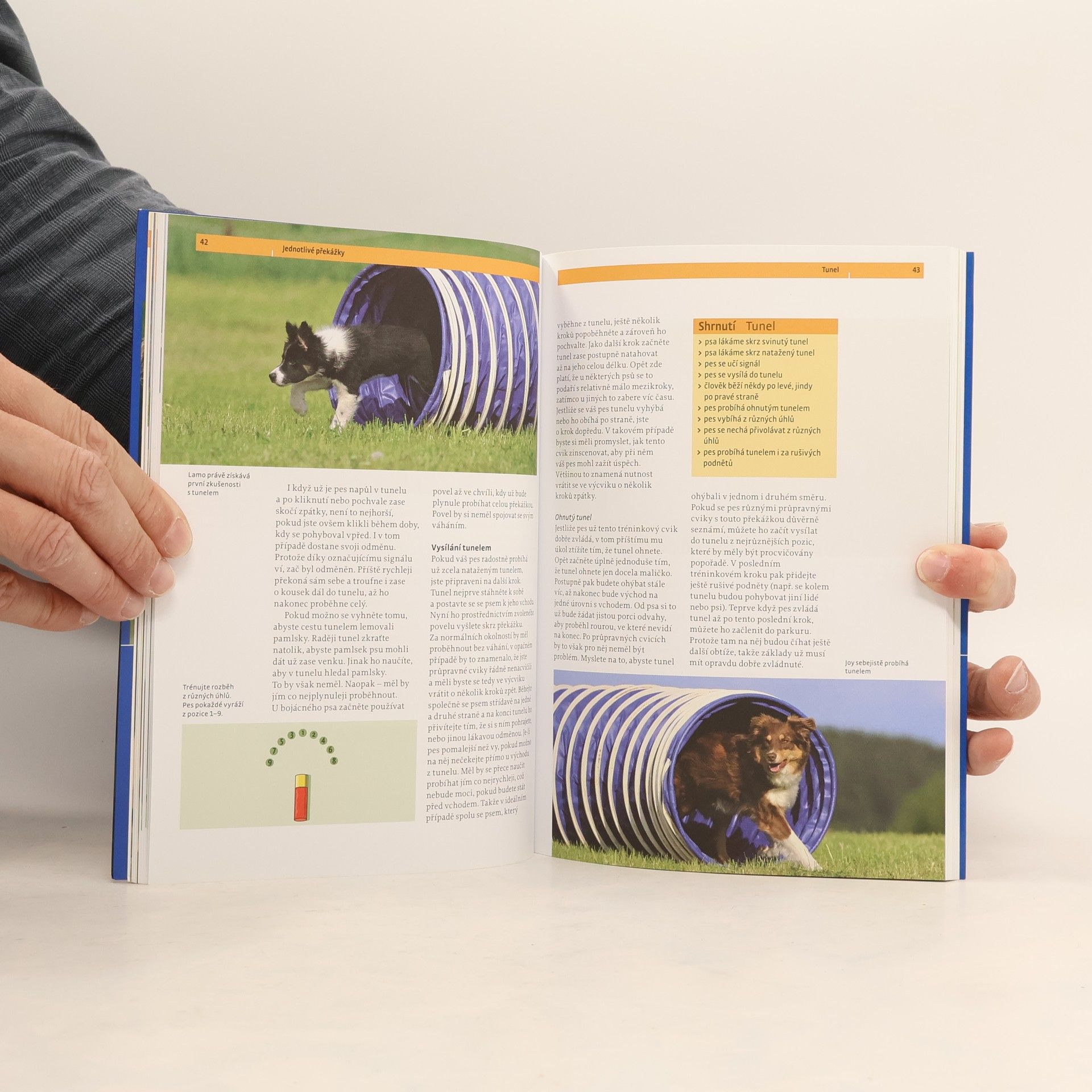 Viviane Theby Agility - Od první překážky k velkému parkuru