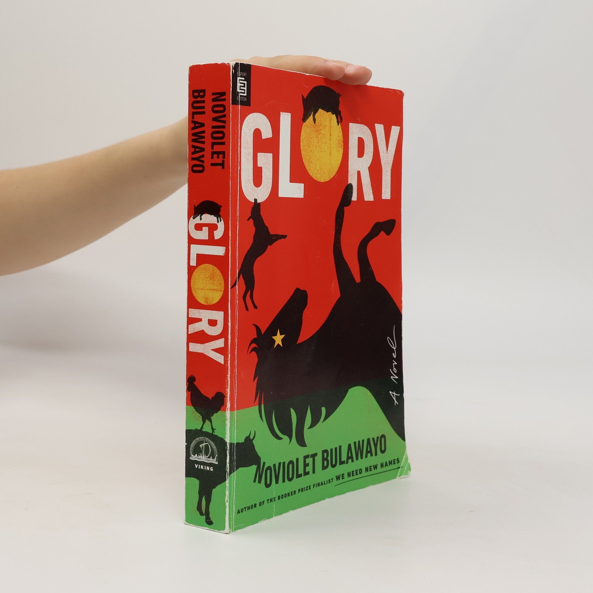 NoViolet Bulawayo Glory