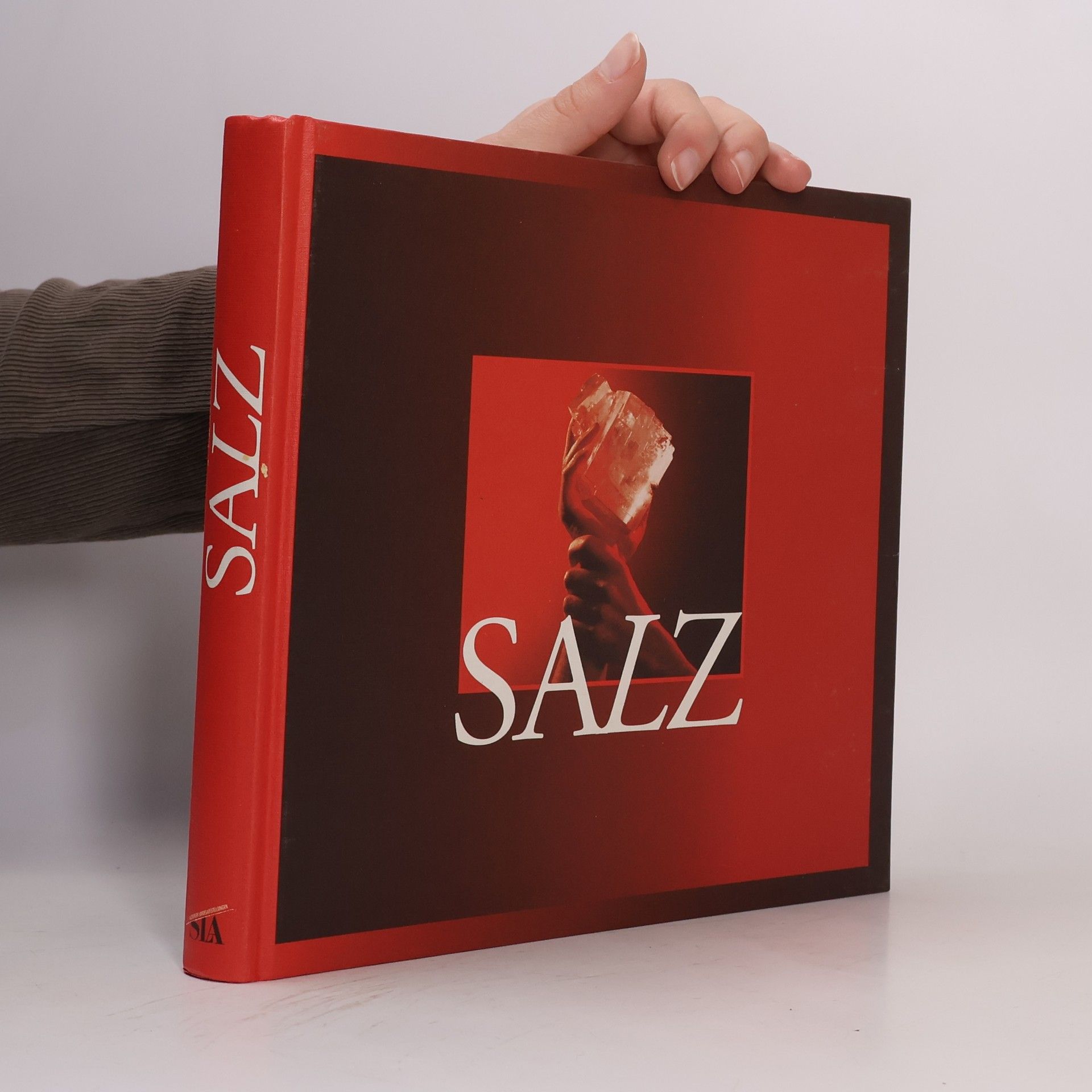 Heinz Dopsch Salz