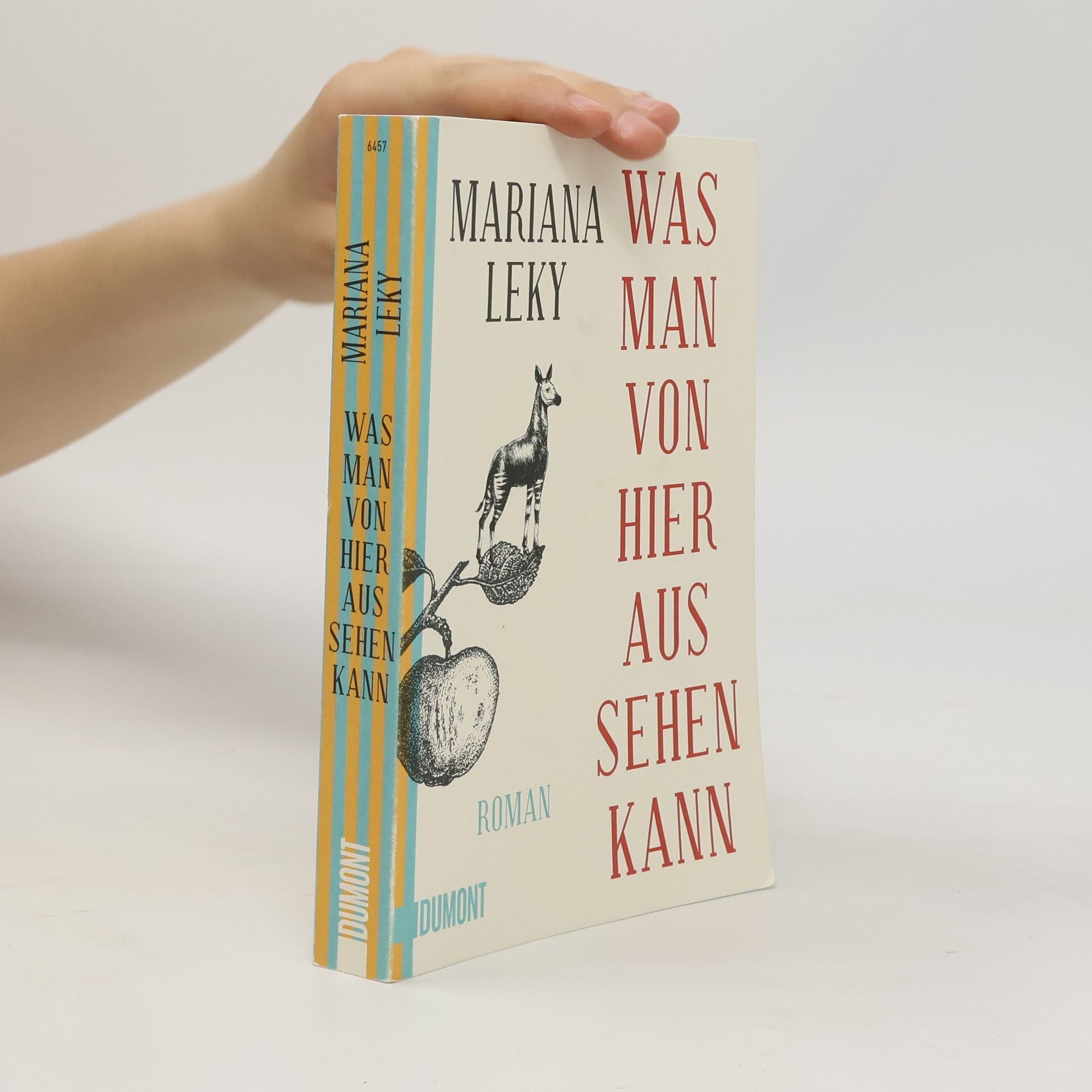 Mariana Leky Was man von hier aus sehen kann