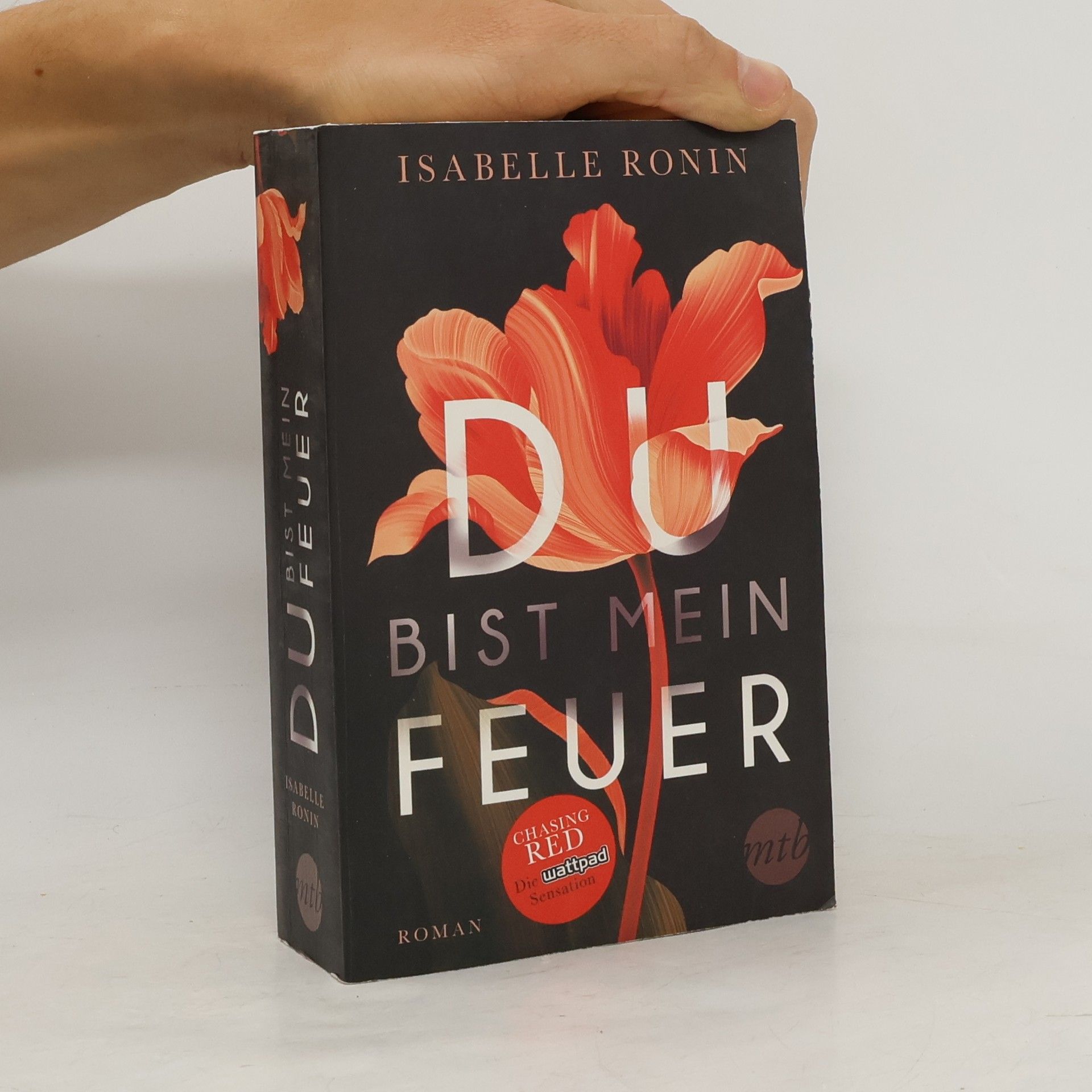 Isabelle Ronin Du bist mein Feuer
