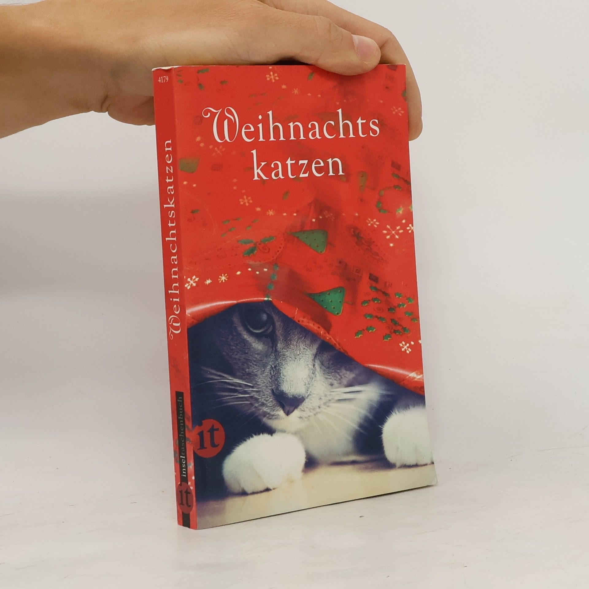 Weihnachtskatzen