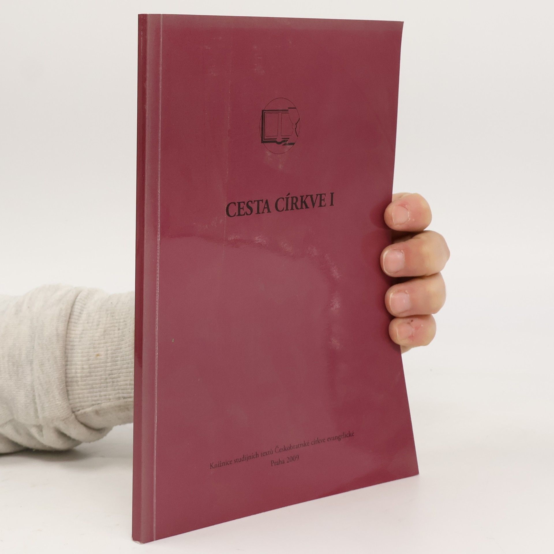 Kolektiv autorů Cesta církve I