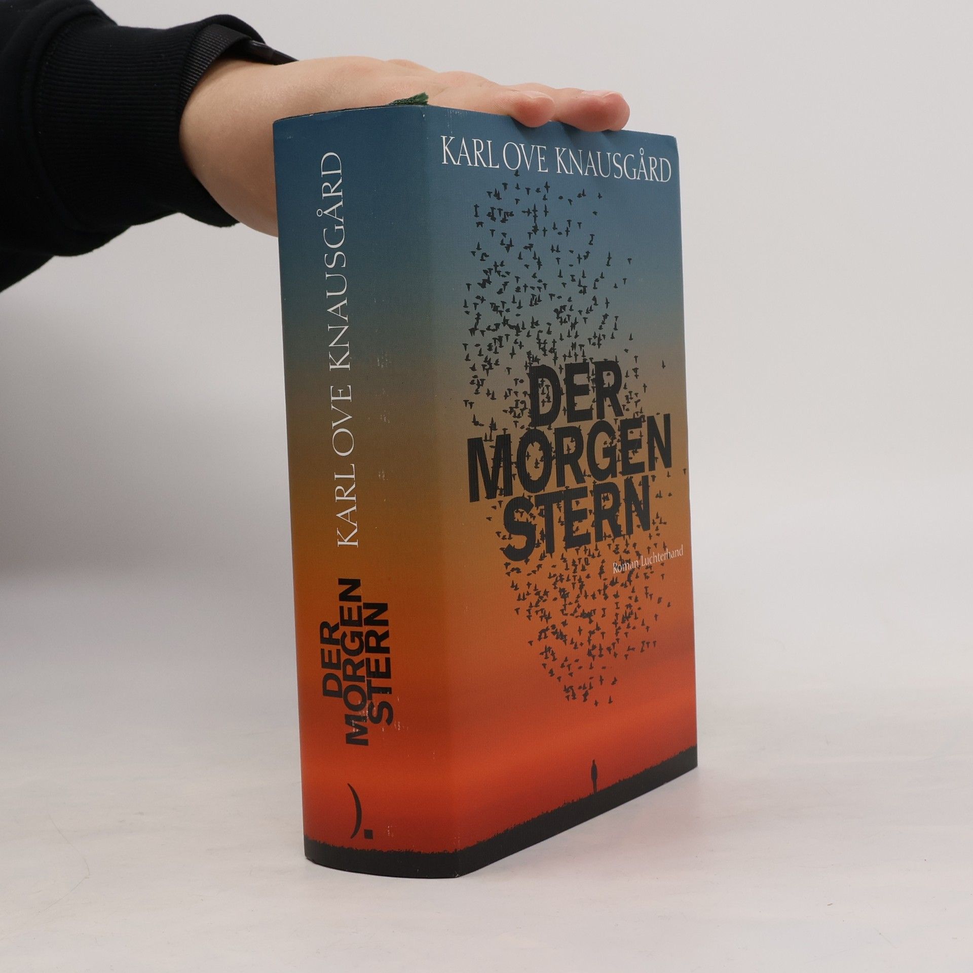 Karl Ove Knausgård Der Morgenstern
