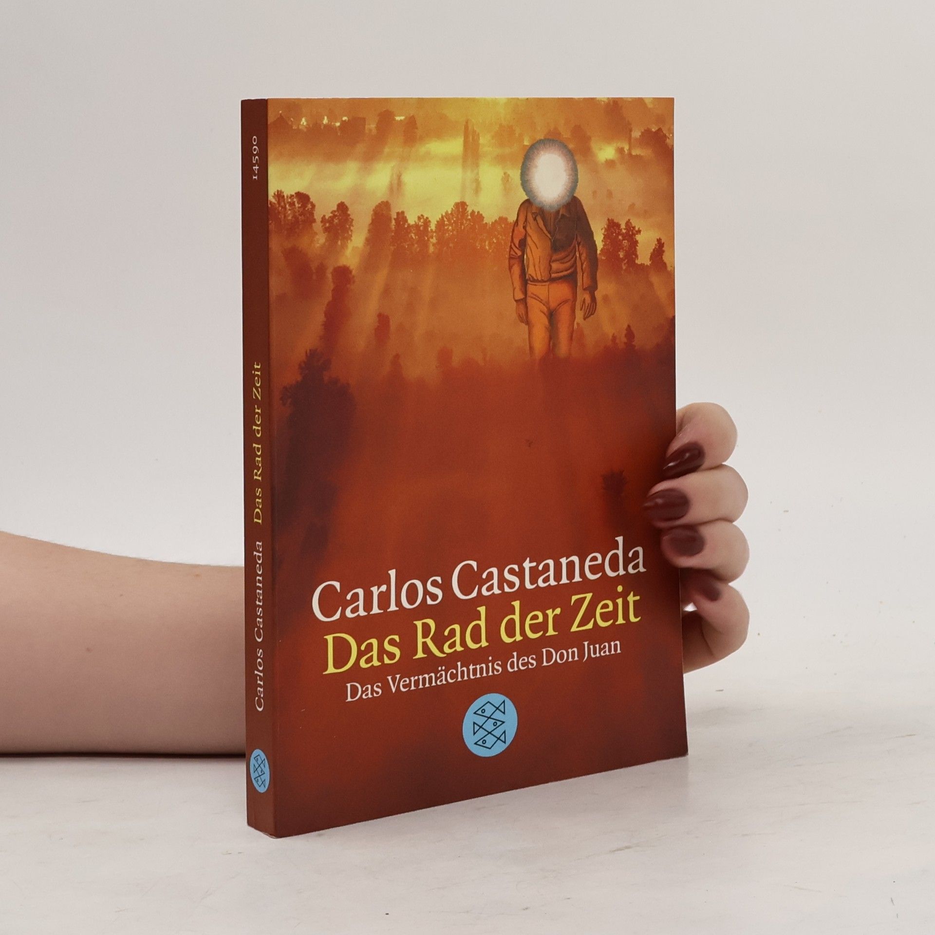 Carlos Castaneda Das Rad der Zeit
