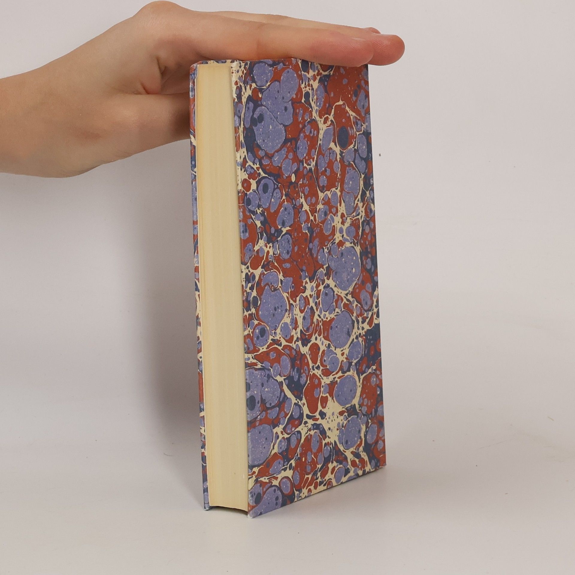 Robert Walser Romane und Erzählungen 5