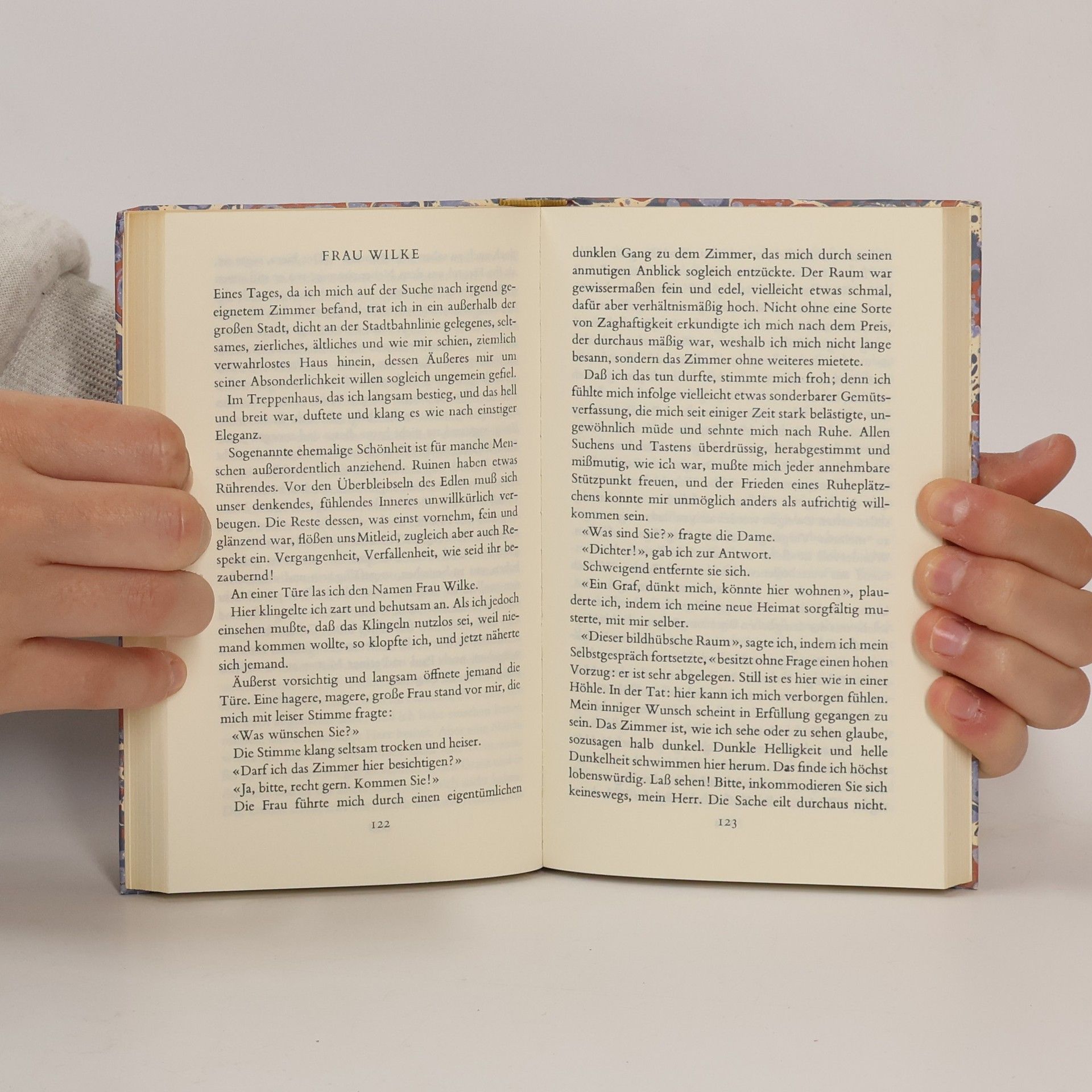 Robert Walser Romane und Erzählungen 5