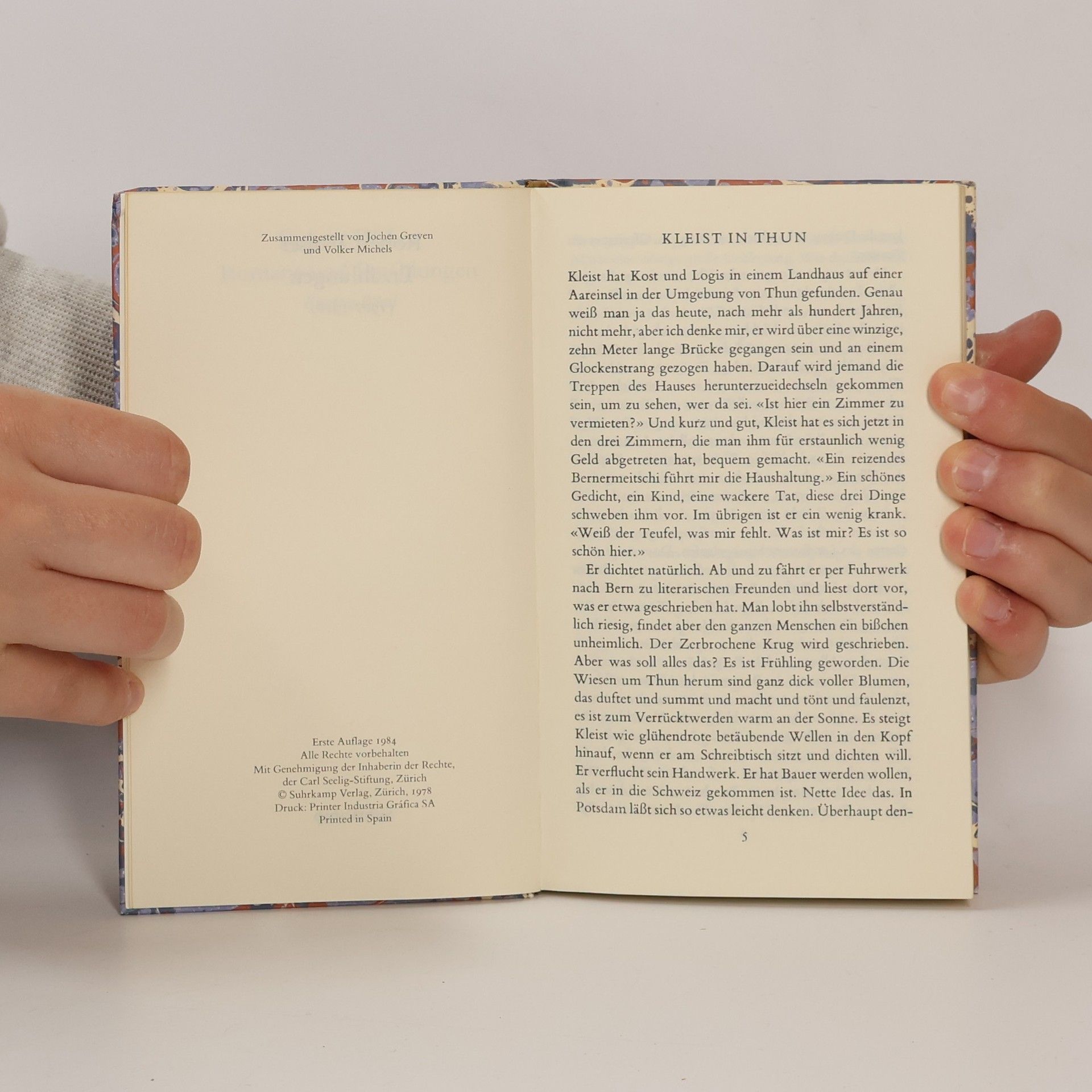 Robert Walser Romane und Erzählungen 5