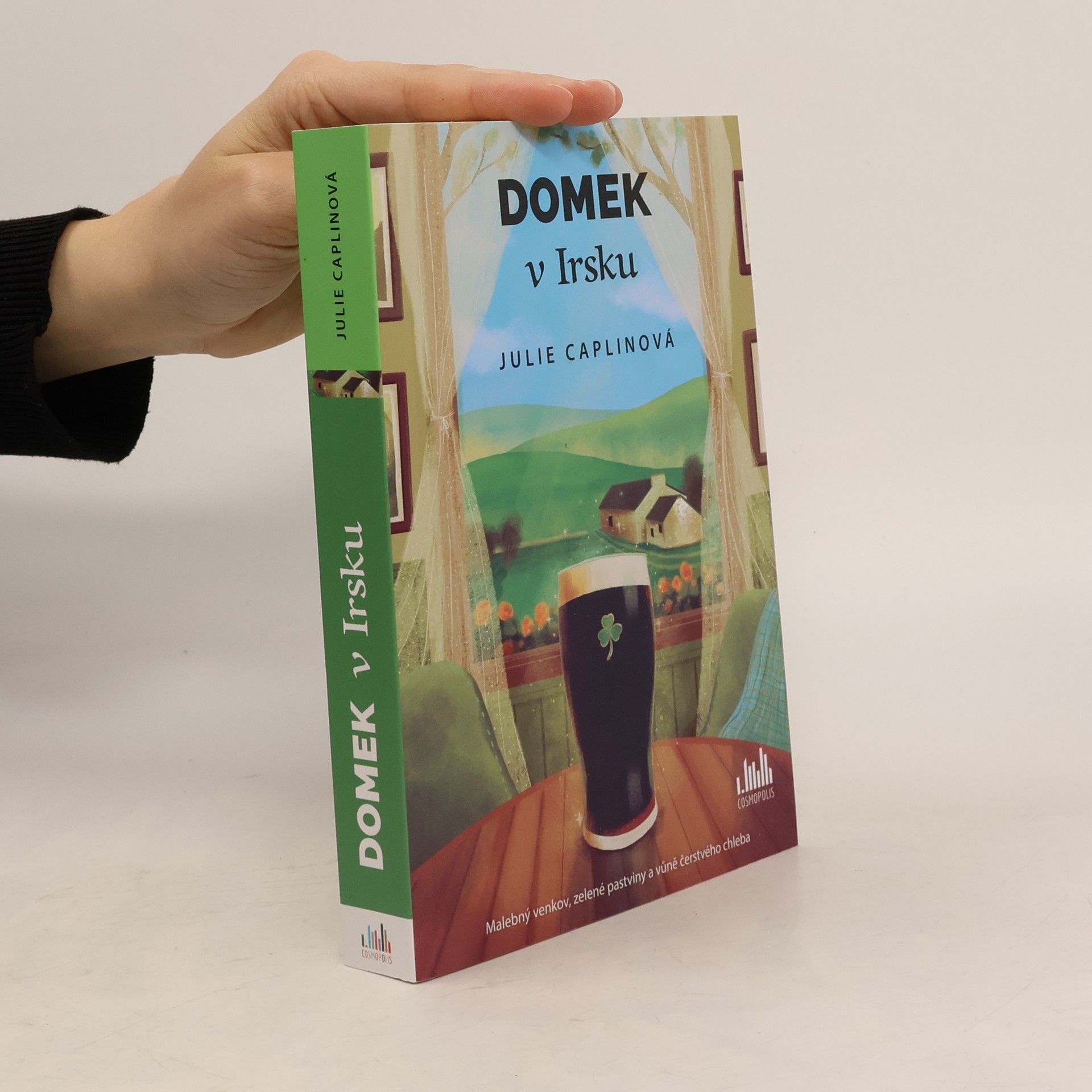 Julie Caplin Domek v Irsku