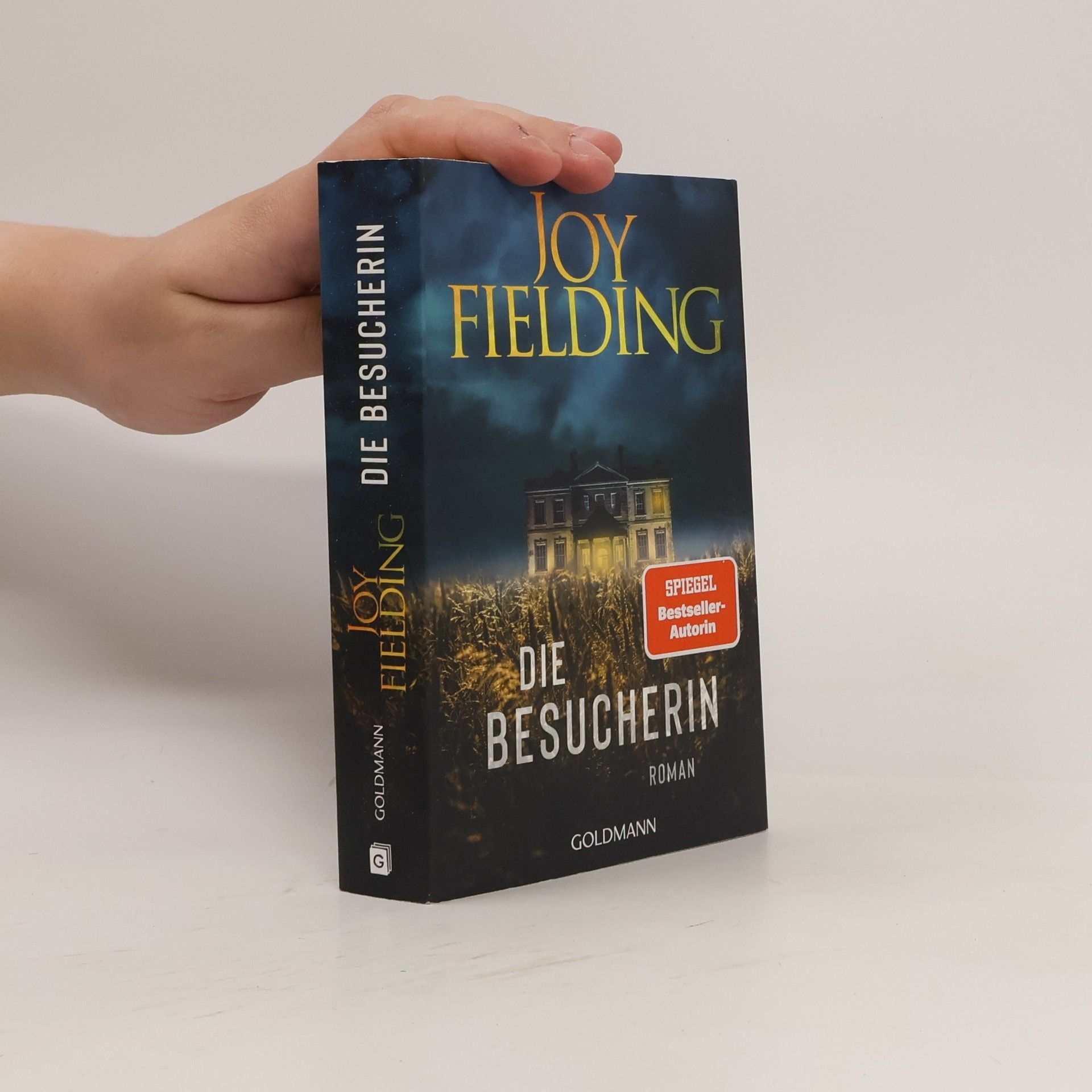 Joy Fielding Die Besucherin