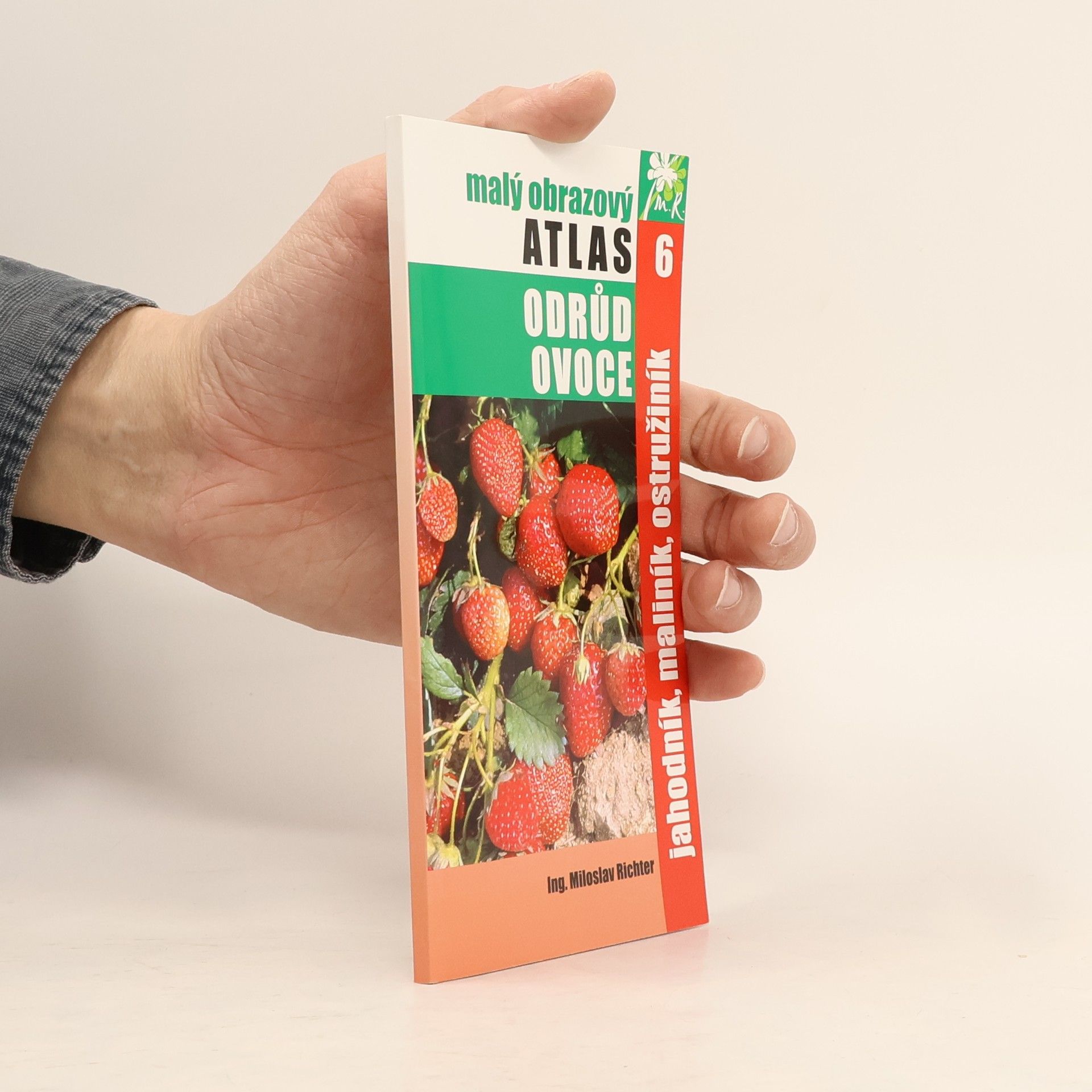 Malý obrazový atlas odrůd ovoce - 6: Jahodník, maliník, ostružiník