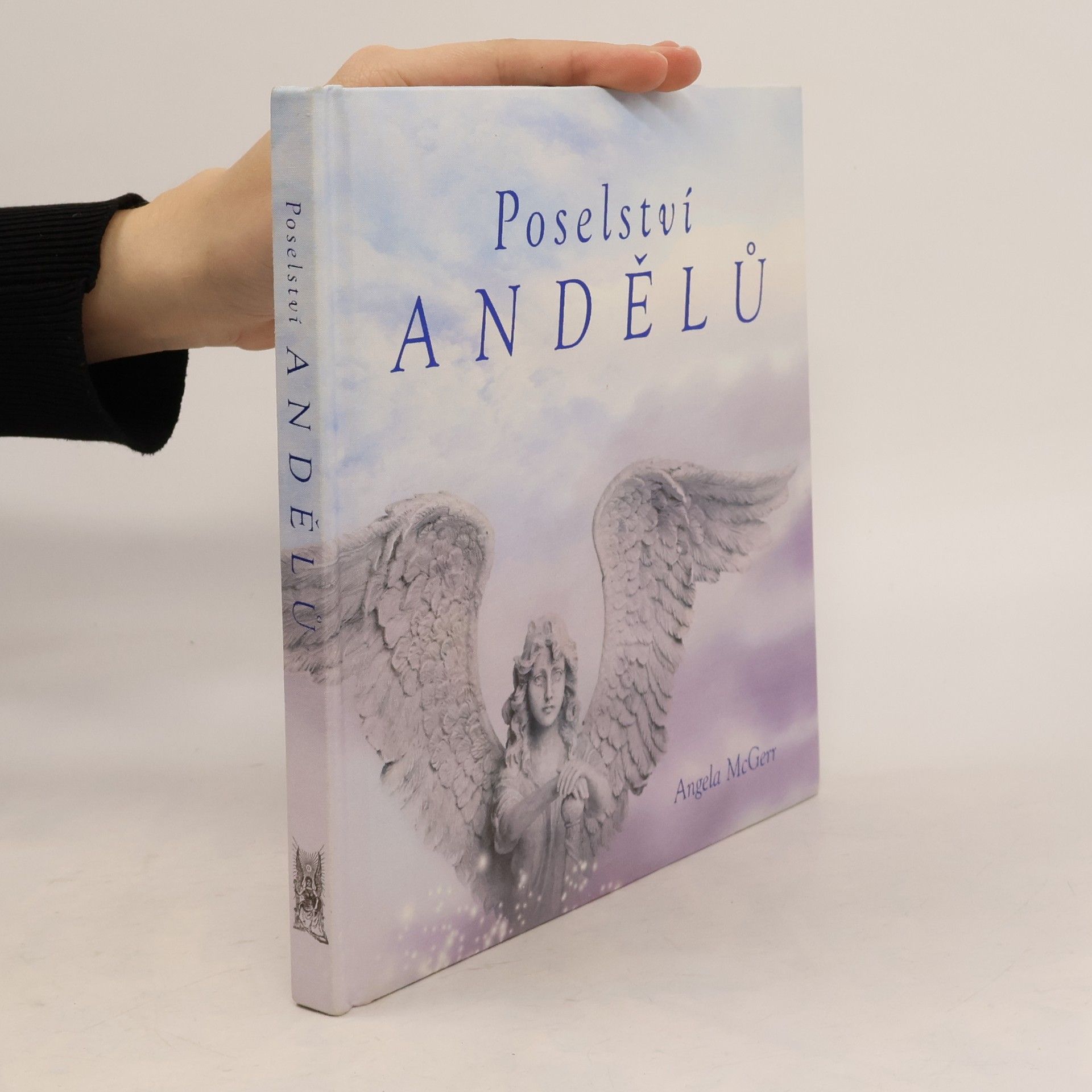 Angela McGerr Poselství andělů