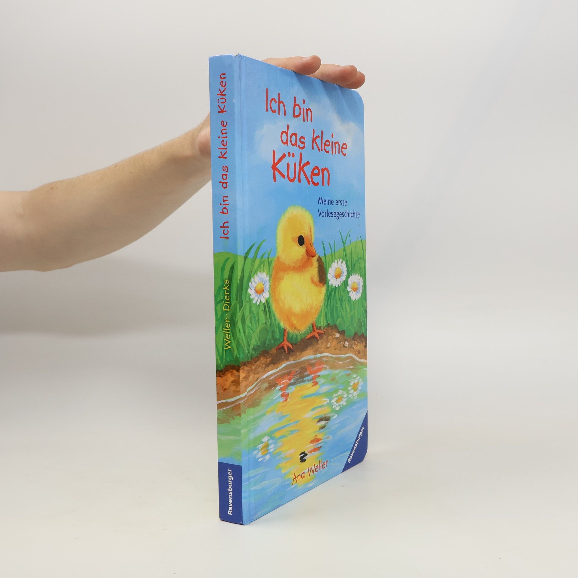 Ana Weller Ich bin das kleine Küken