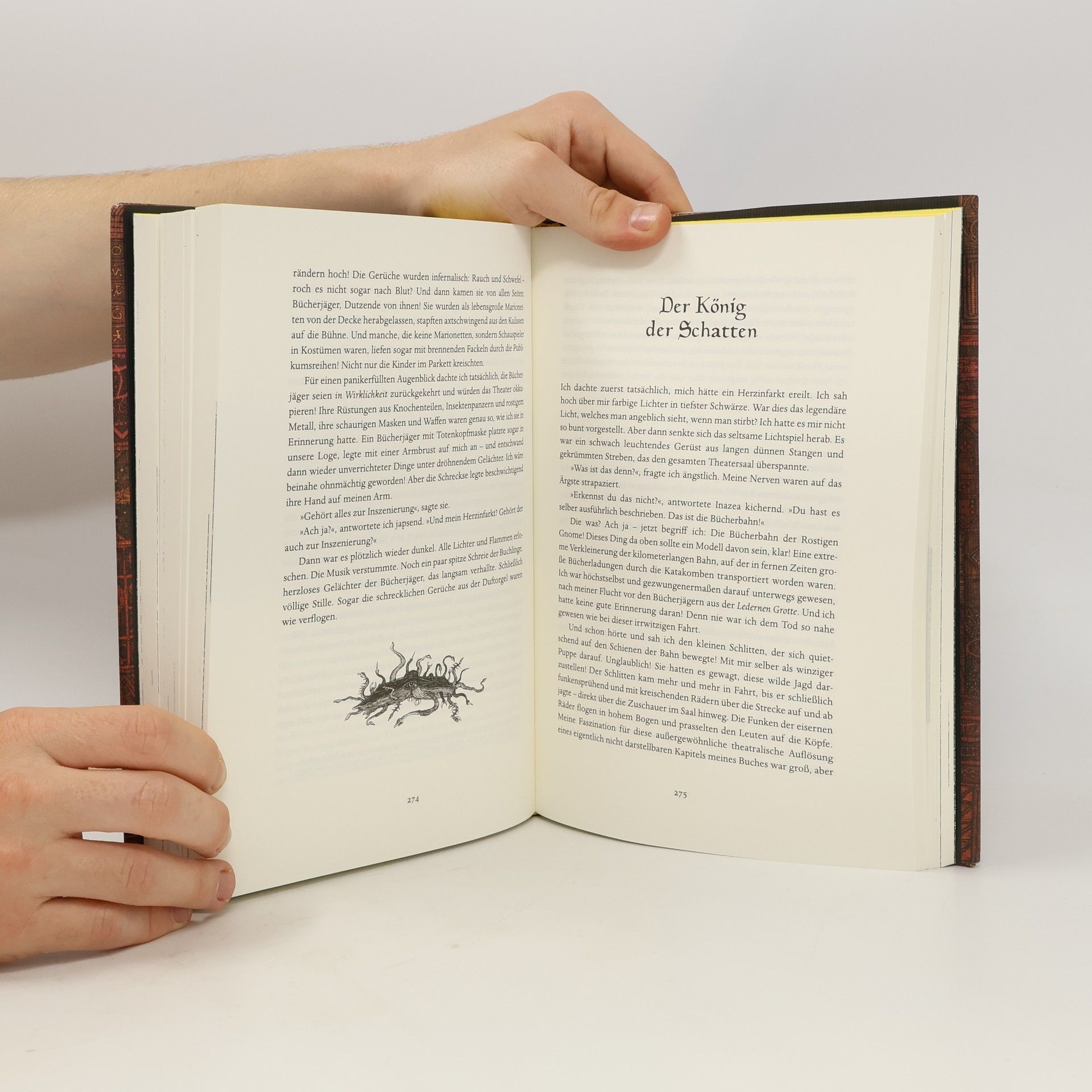Walter Moers Das Labyrinth der Träumenden Bücher
