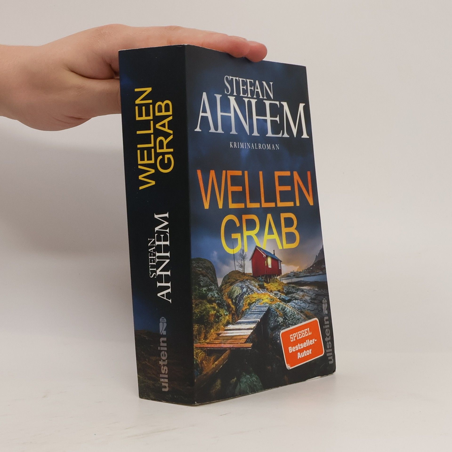 Stefan Ahnhem Wellengrab