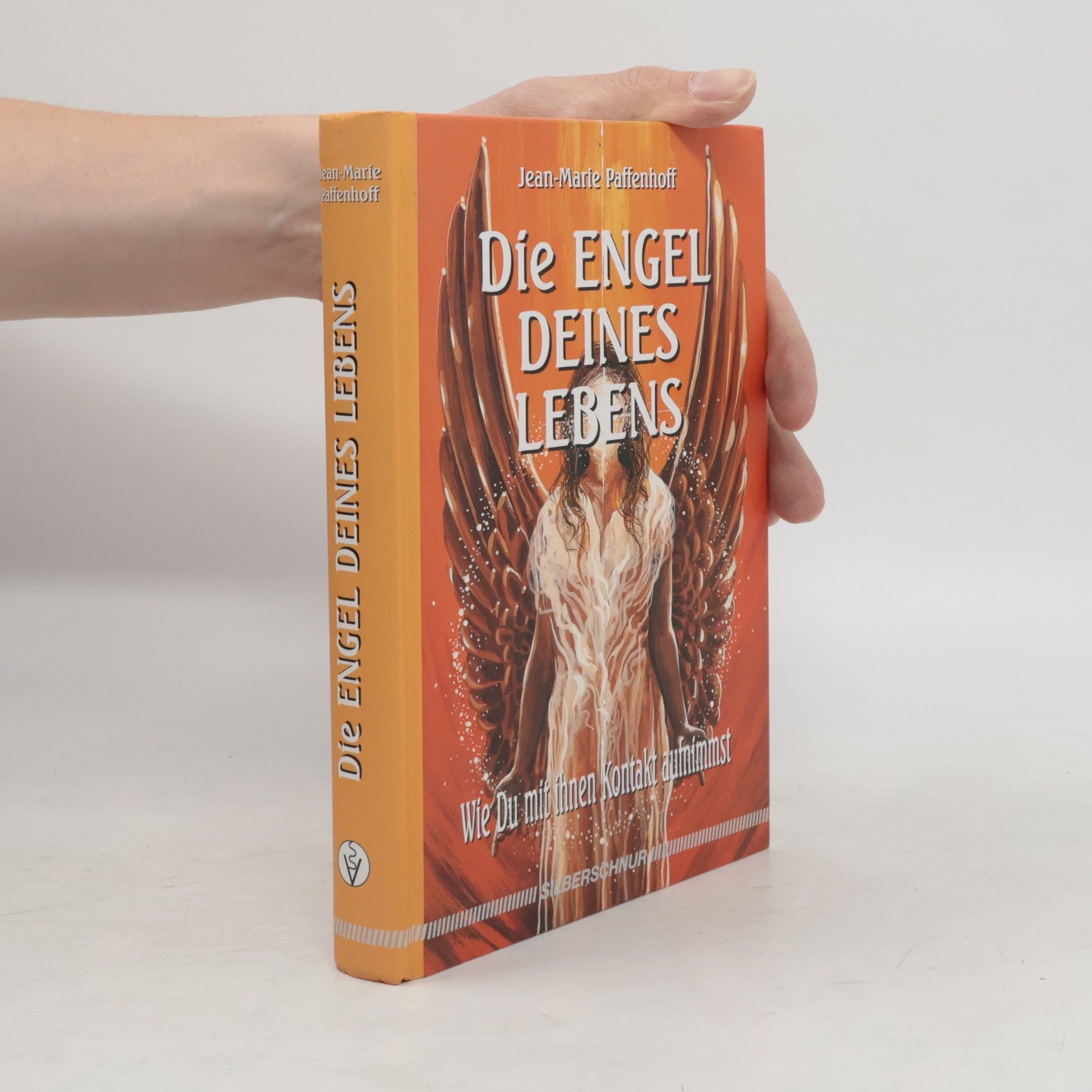 Jean Marie Paffenhoff Die Engel Deines Lebens