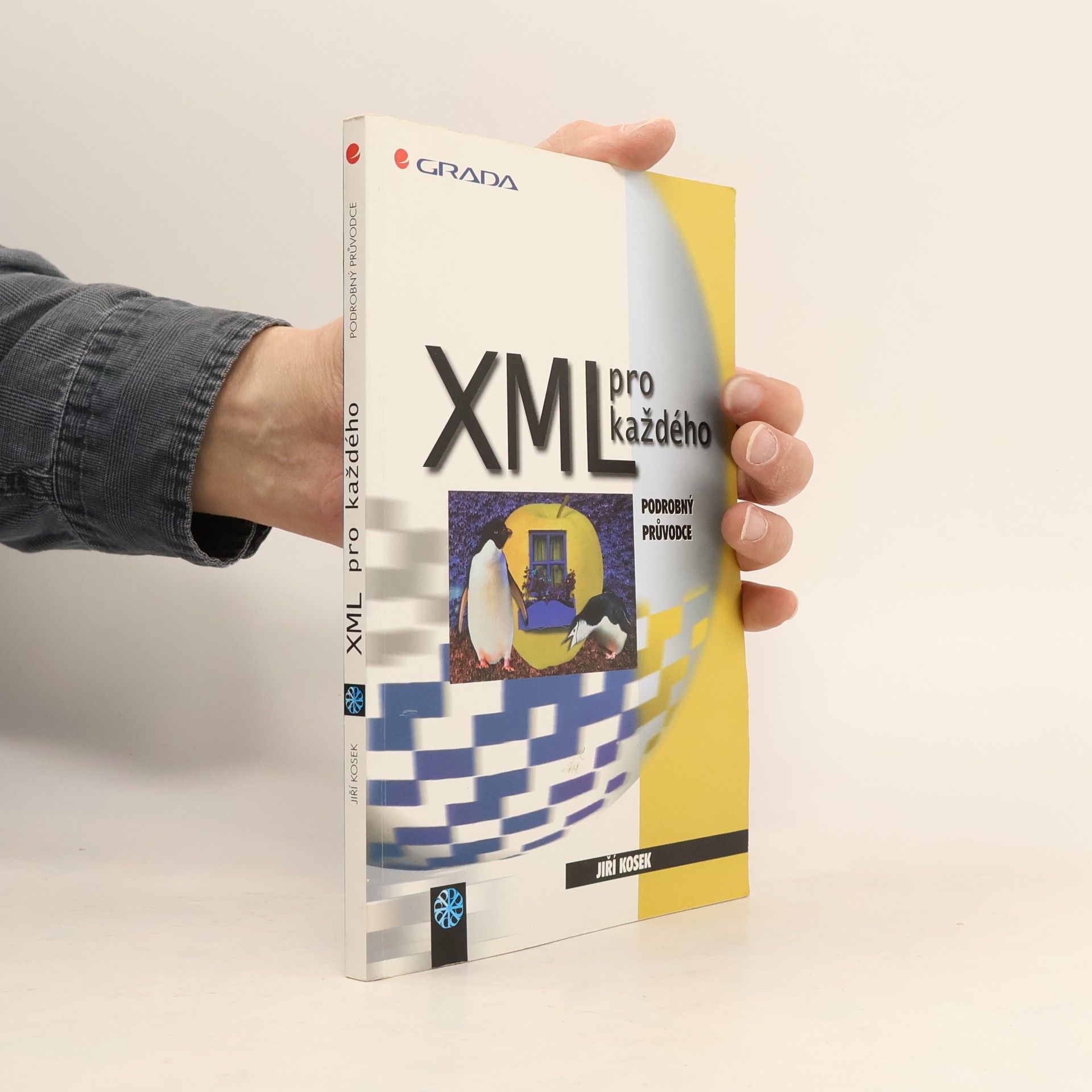 Jiří Kosek XML pro každého: Podrobný průvodce