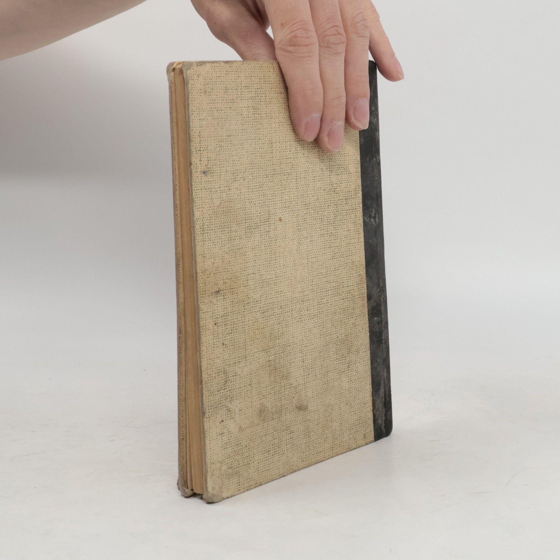 Collectif d'auteurs Katechismus der katholischen Religion