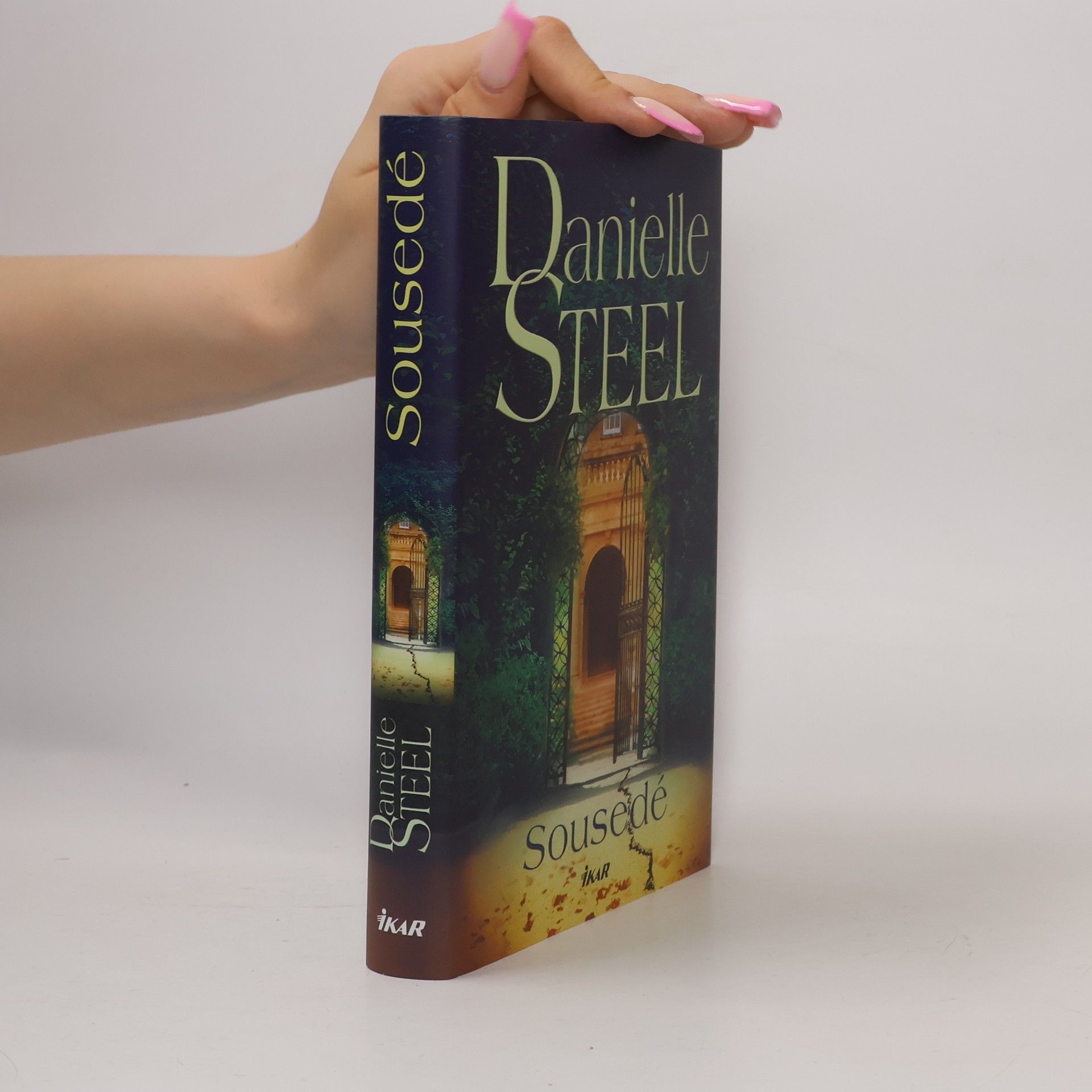 Danielle Steel Sousedé