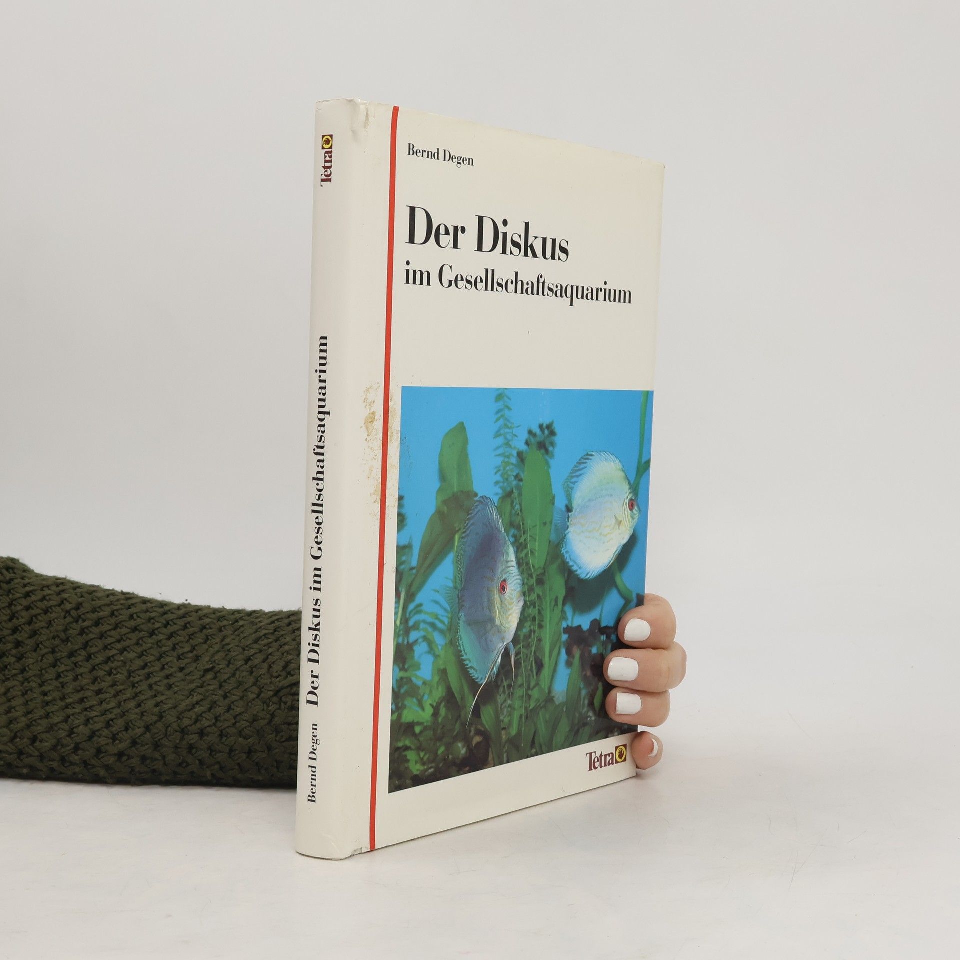 Bernd Degen Der Diskus im Gesellschaftsaquarium