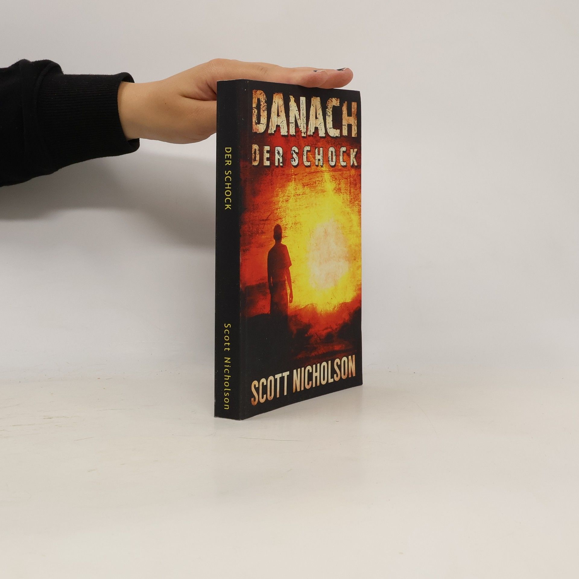 Stefan Mommertz Danach - 1: Der Schock