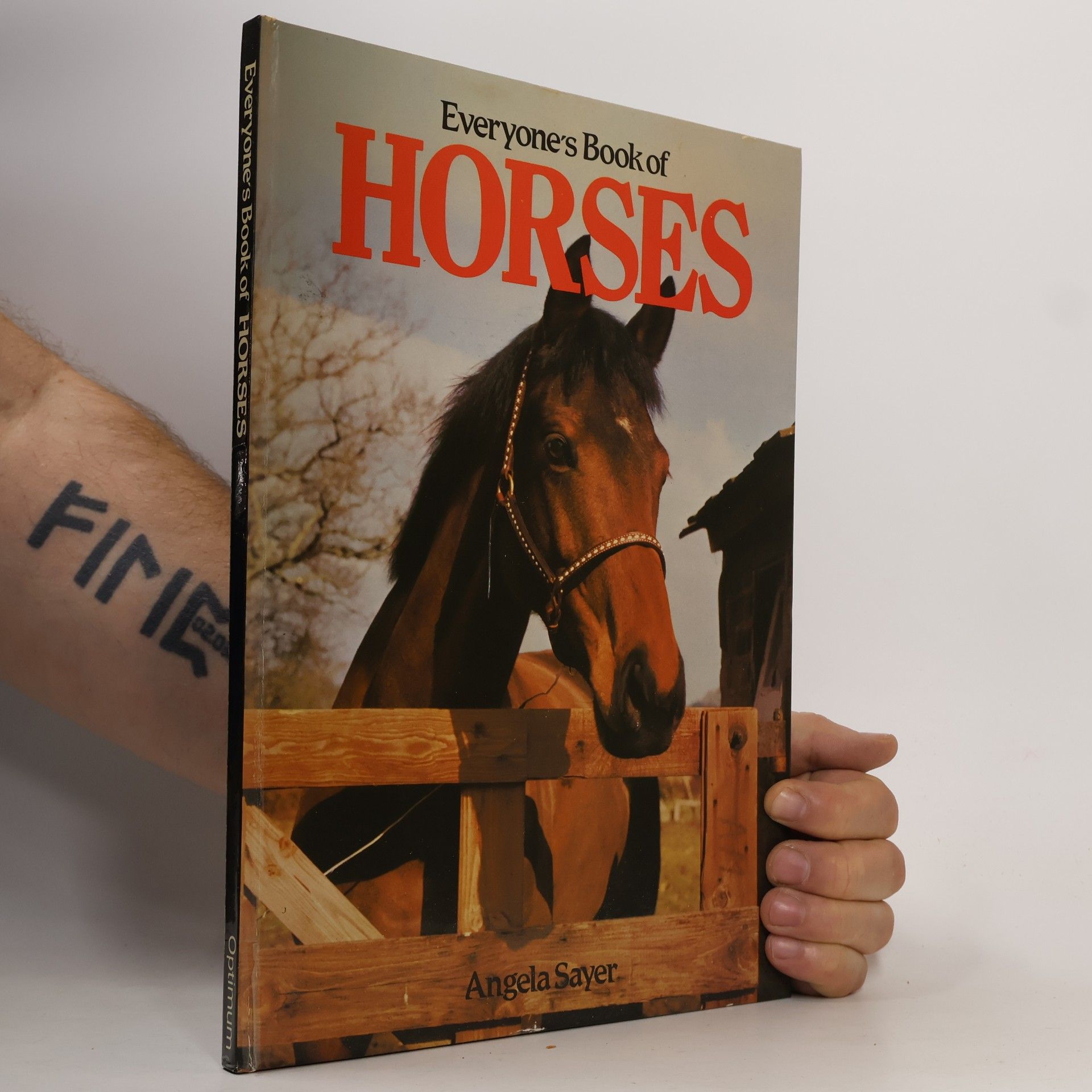 Angela Sayer Everyone's Book of Horses