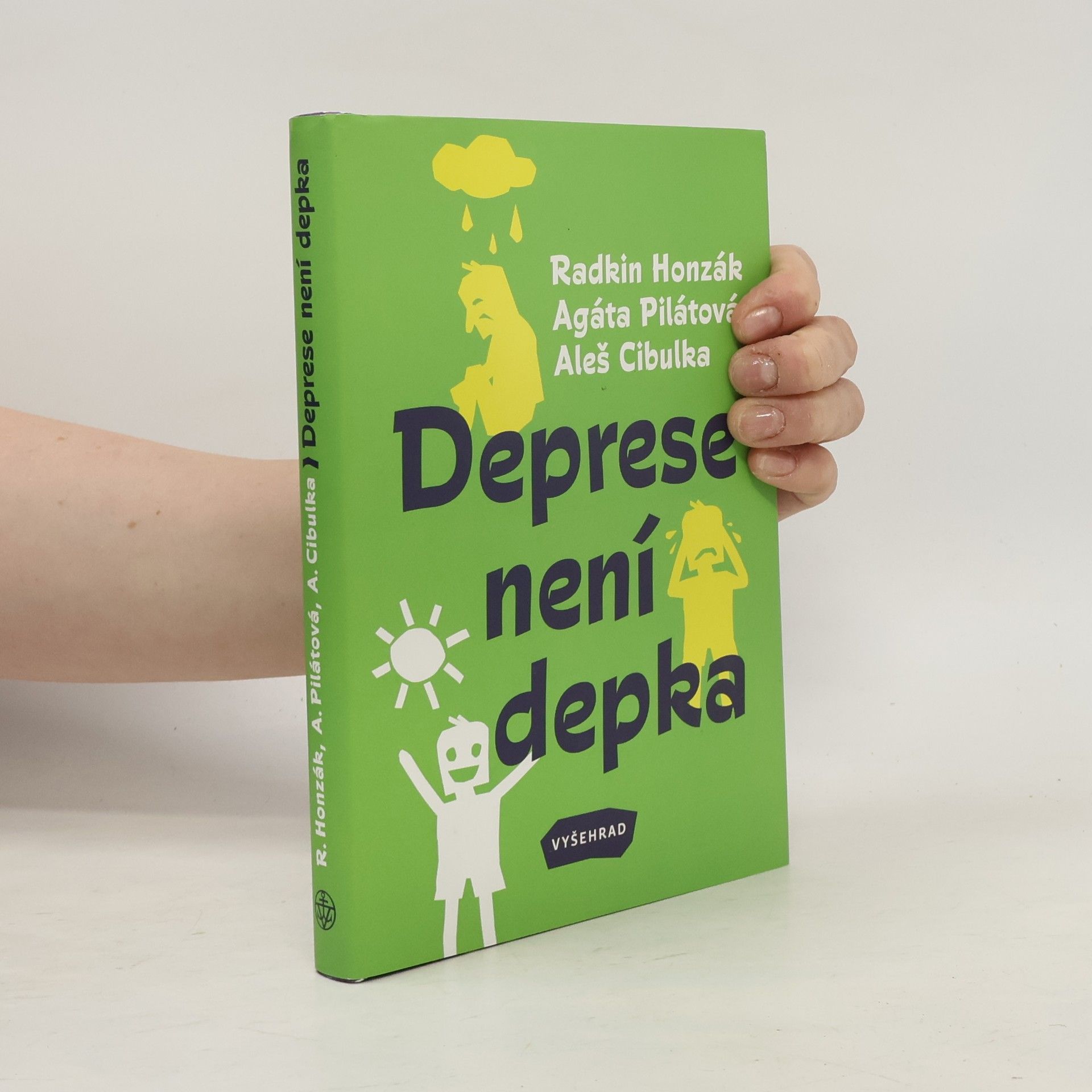 Kolektiv autorů Deprese není depka